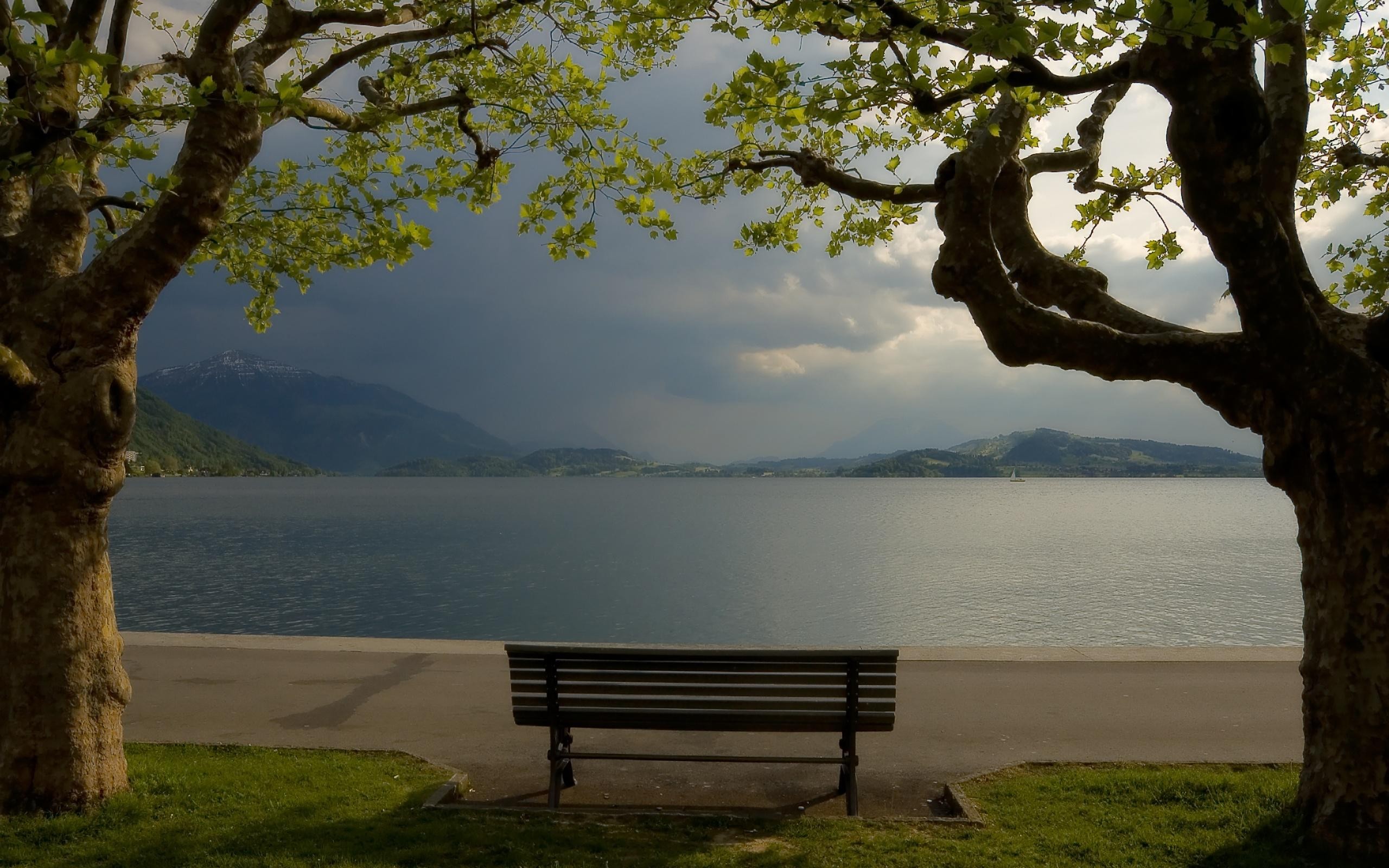 General 2560x1600 bench water trees outdoors landscape
