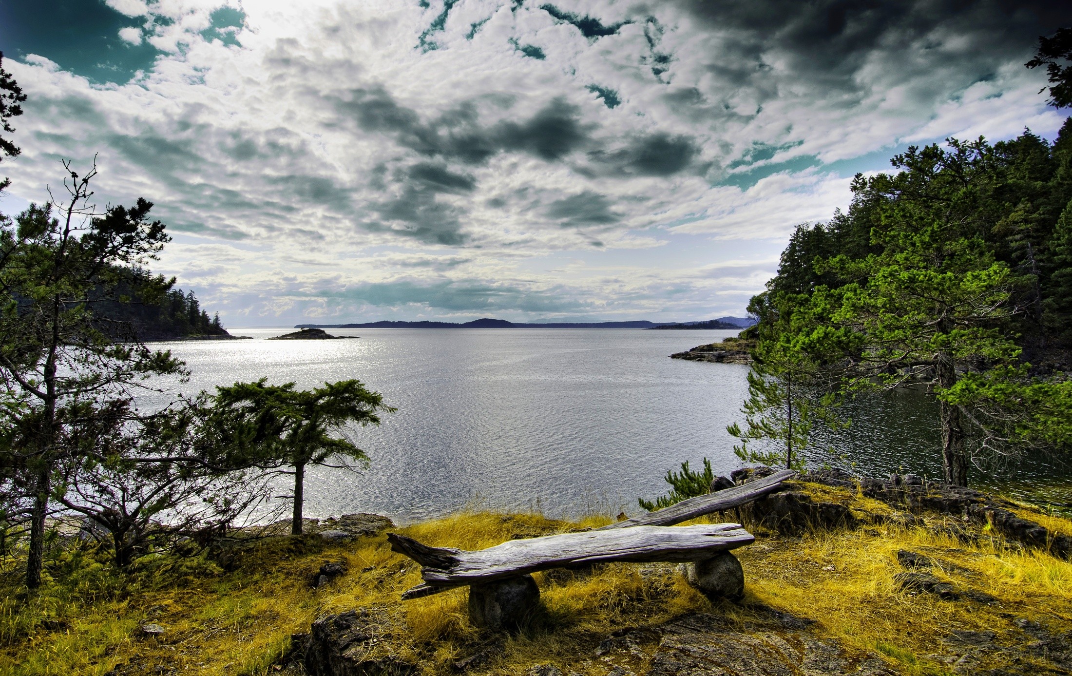 General 2200x1387 sea far view water trees lake bench pine trees nature outdoors sky