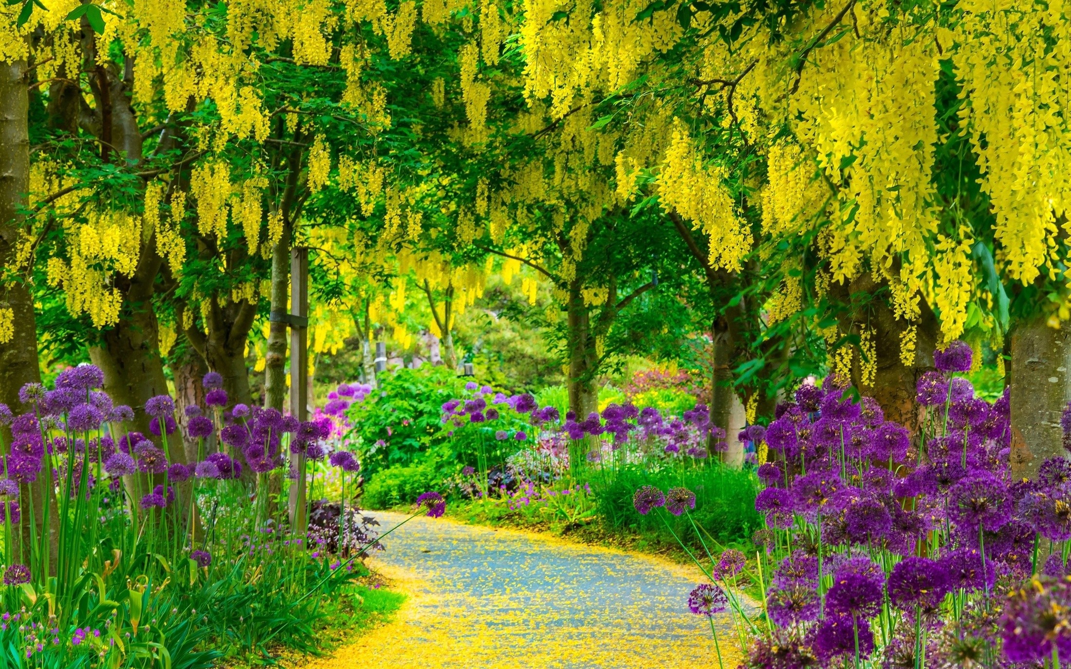 General 2200x1375 flowers blossoms garden outdoors plants path trees leaves