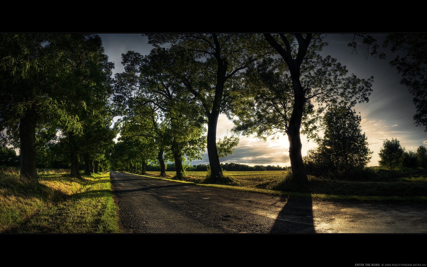 General 1440x900 trees alone green road sunset shadow landscape outdoors