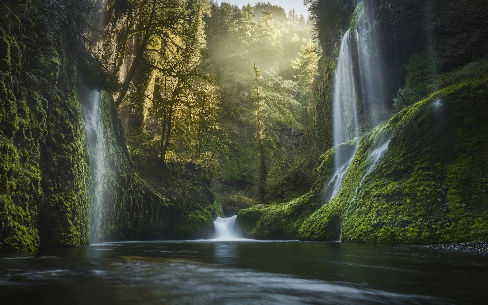 General 1920x1200 nature landscape Oregon waterfall moss forest mist USA pine trees water valley river