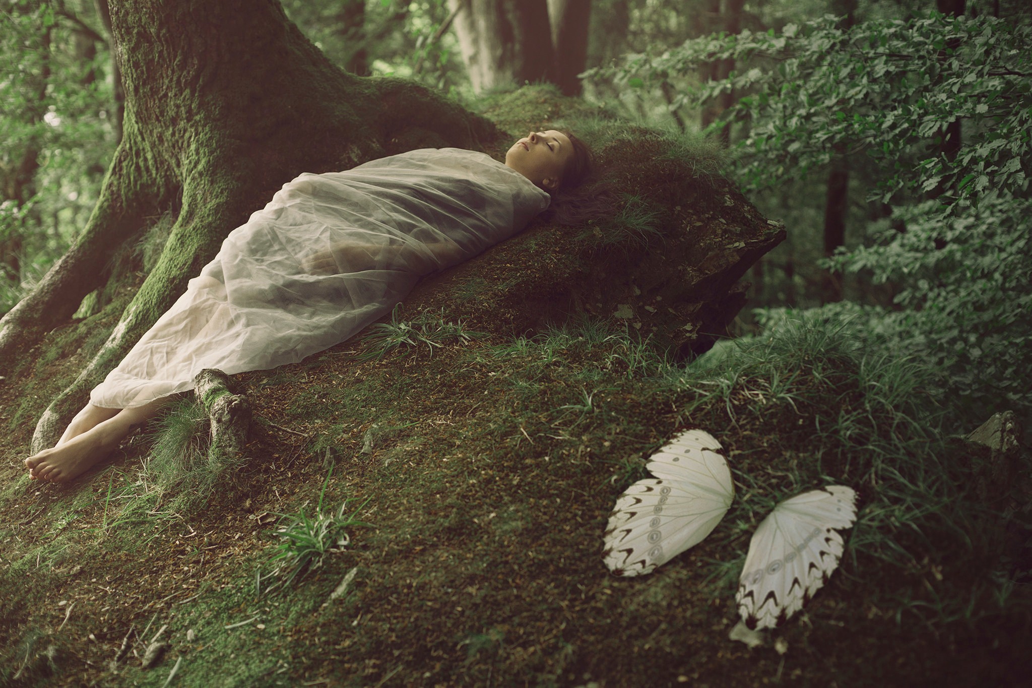 Нашли в лесу спящего. Девушка в коконе. Человек в коконе. Девушка лежит в лесу. Человек в лесу.