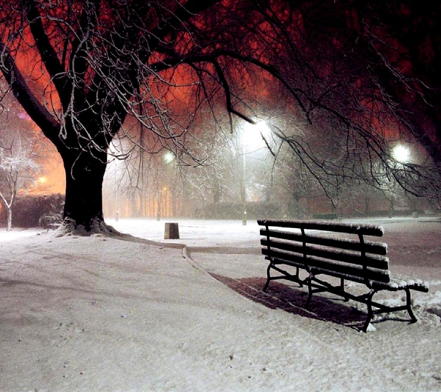 General 1440x1280 winter park bench snow cold outdoors