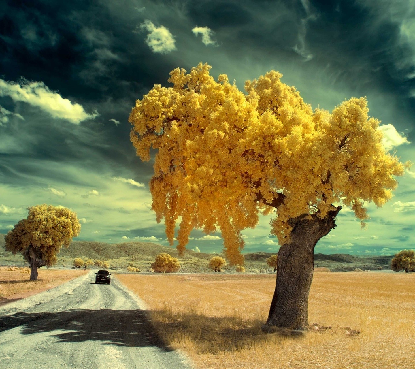 General 1440x1280 trees road clouds vehicle sky landscape outdoors