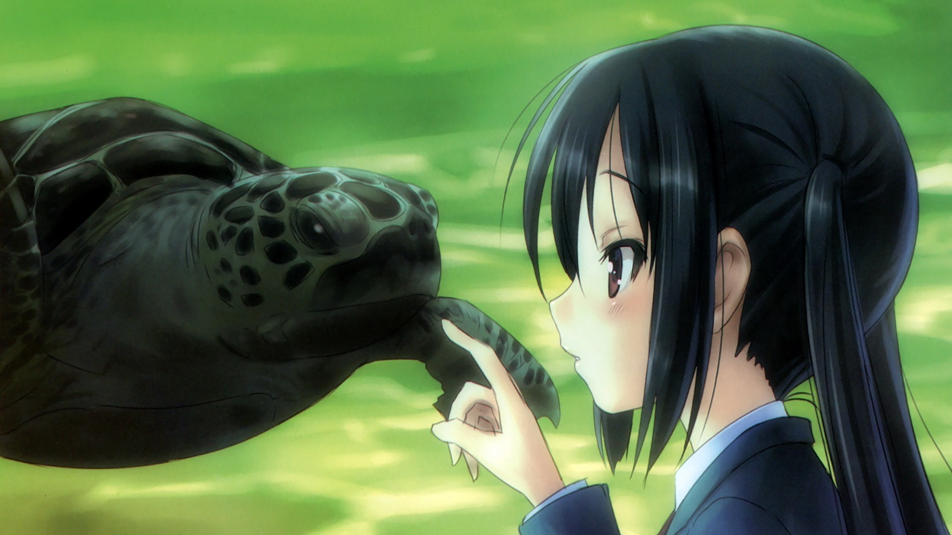 Anime 1920x1080 anime girls K-ON! Nakano Azusa turtle anime animals dark hair face profile green background