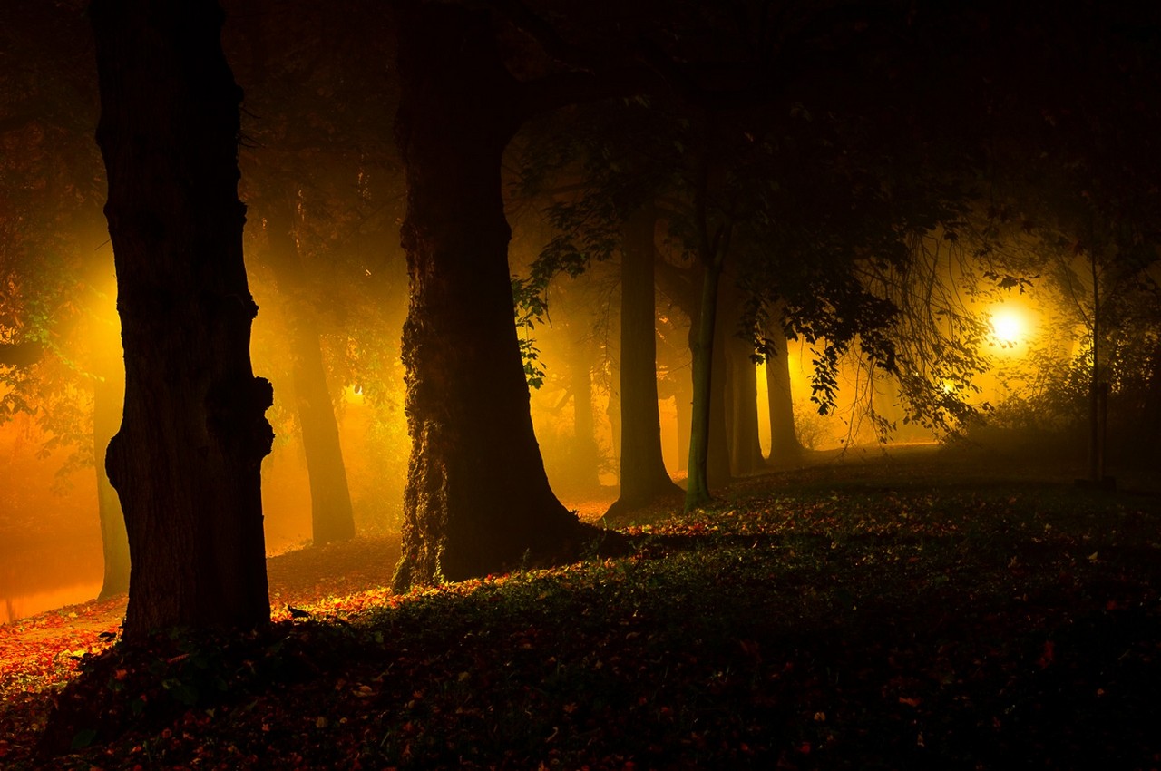 General 1280x850 night park trees mist leaves grass street light yellow landscape dark spooky