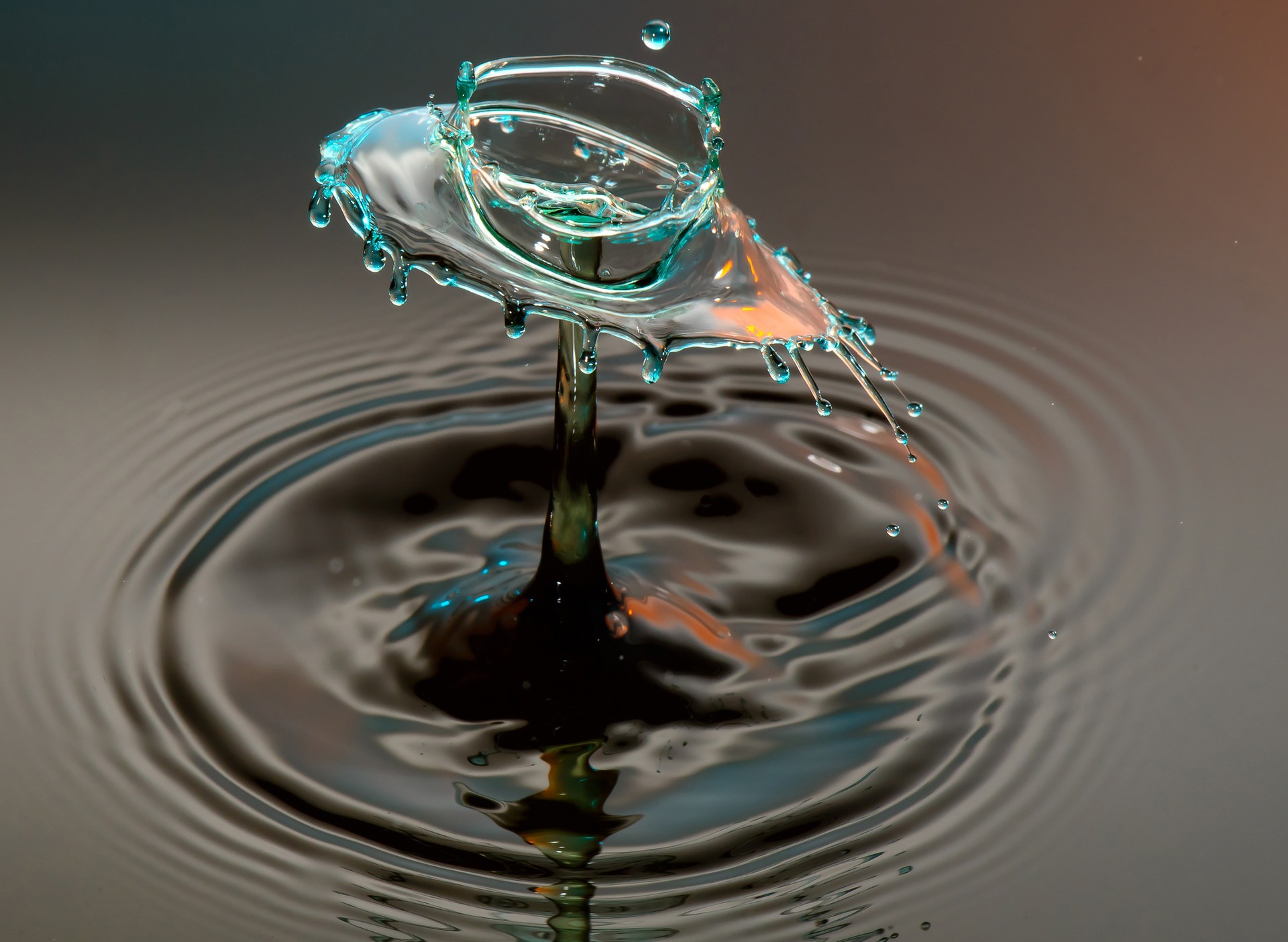 General 1920x1404 water water drops macro digital art water ripples