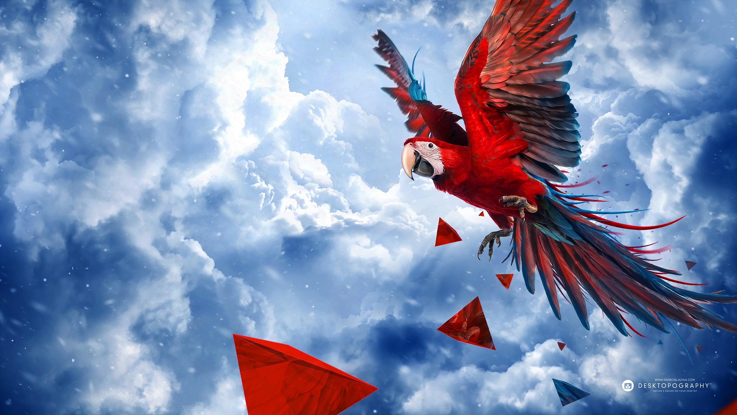 General 2560x1440 fantasy art animals birds parrot artwork Desktopography