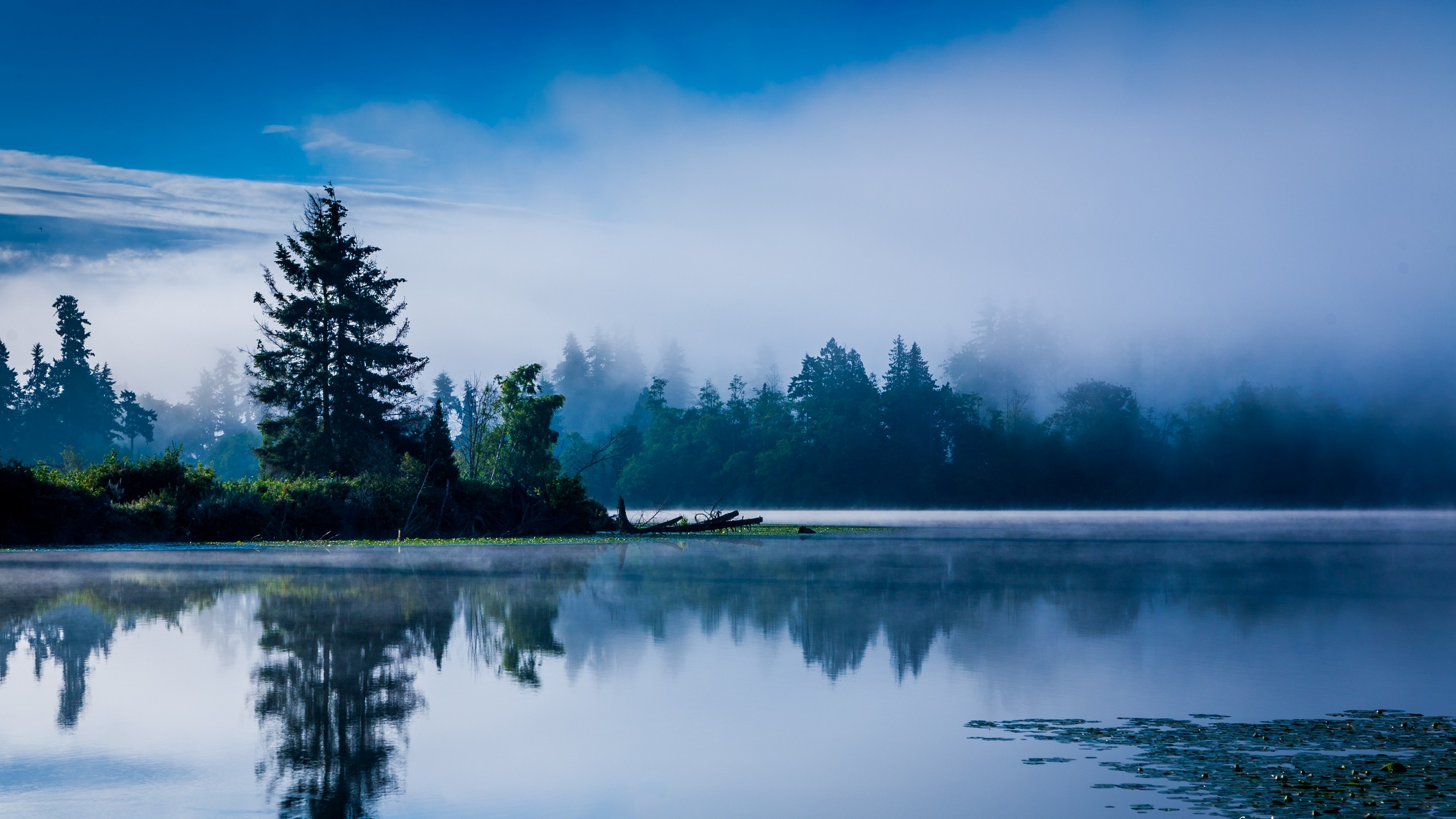 General 2800x1575 lake morning mist blue forest water reflection Washington State nature landscape trees USA