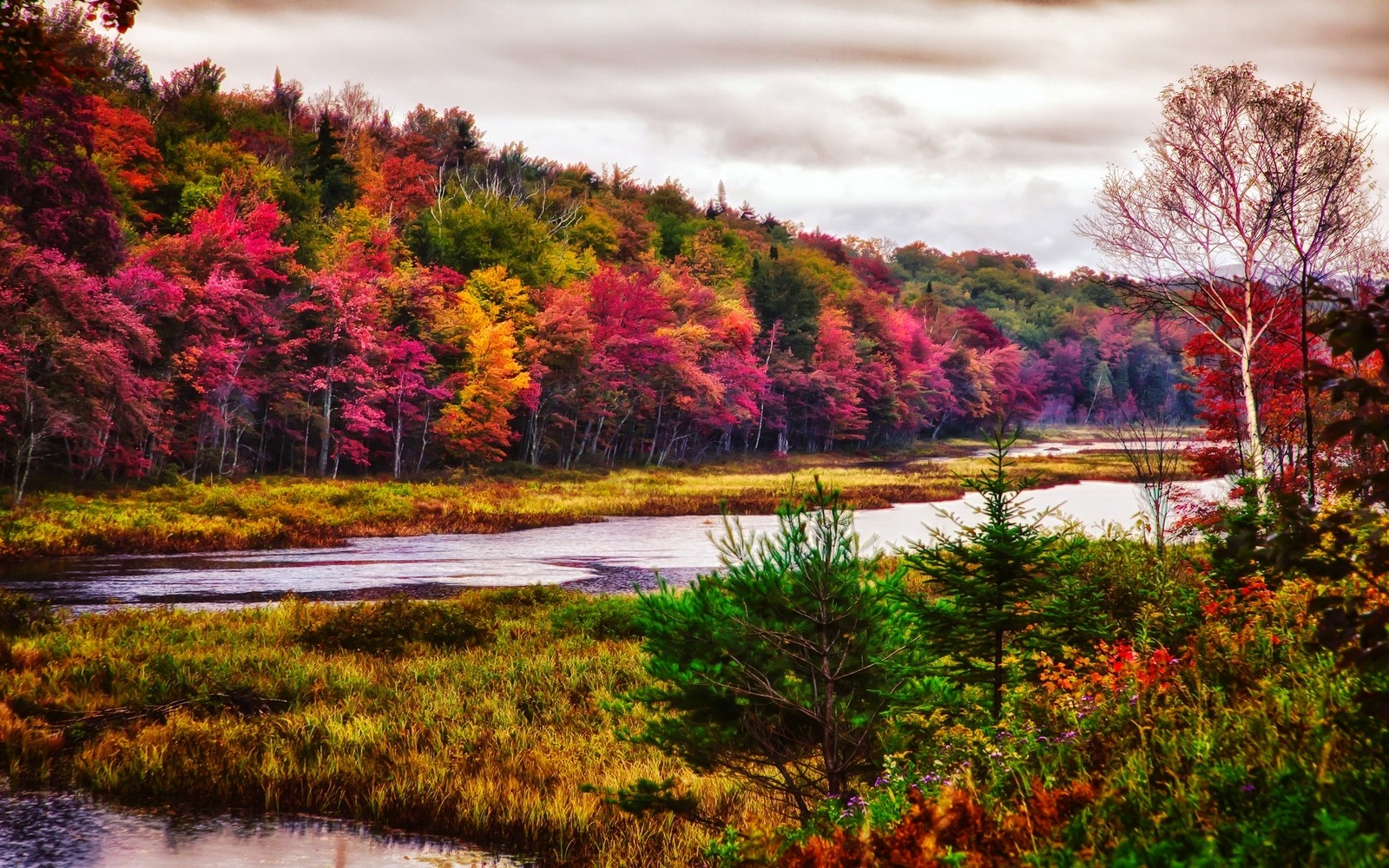 General 1600x1000 nature landscape trees river fall forest colorful New York state grass mountains clouds USA