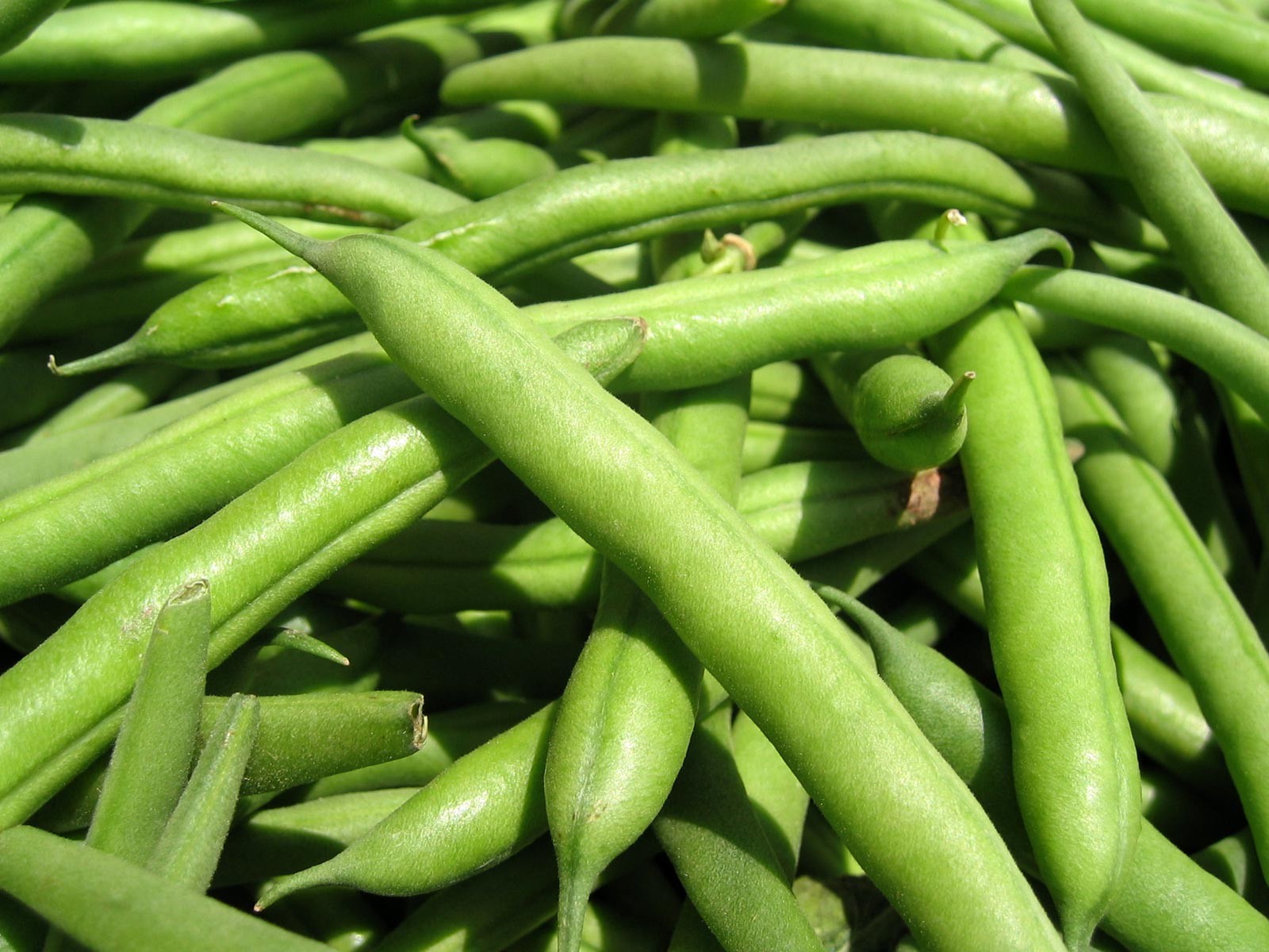 General 1600x1200 food beans closeup vegetables