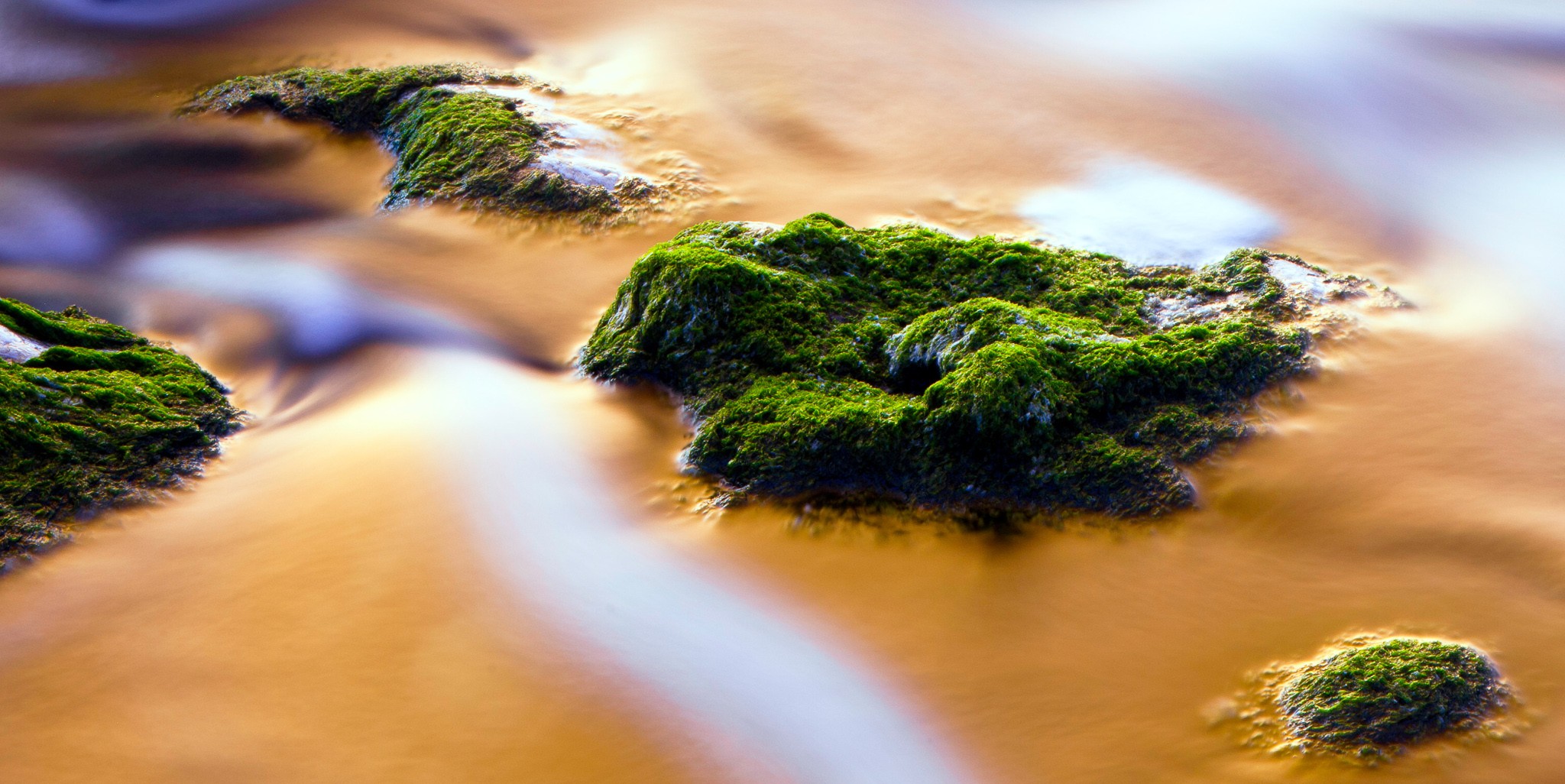 General 2048x1026 nature photography moss rocks water plants