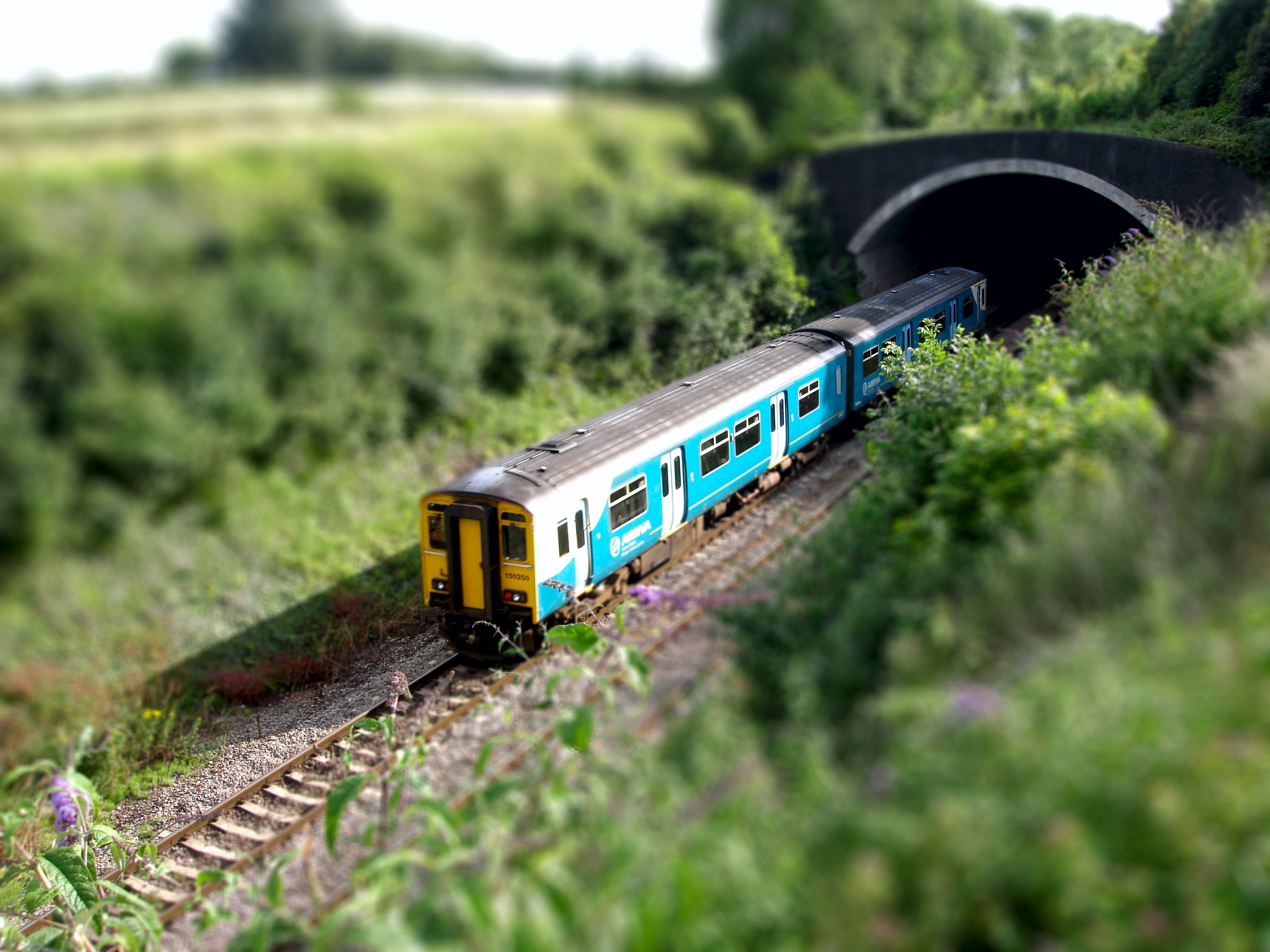 General 3264x2448 train tilt shift railway tunnel wildlife crossings vehicle