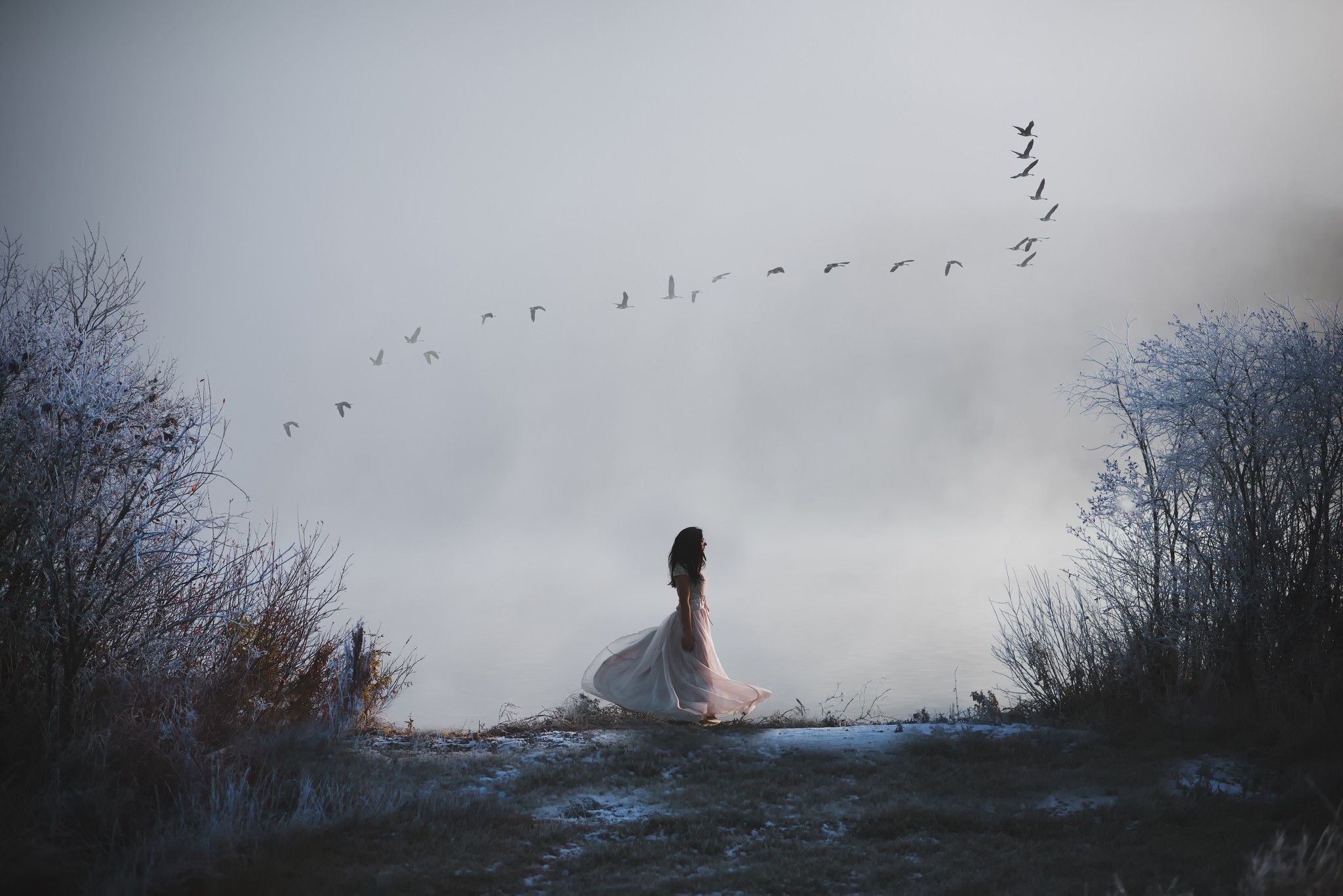 Душа словно ветер. Птицы улетают. Девушка и улетающие птицы. Птица грусть. Девушка в тумане.