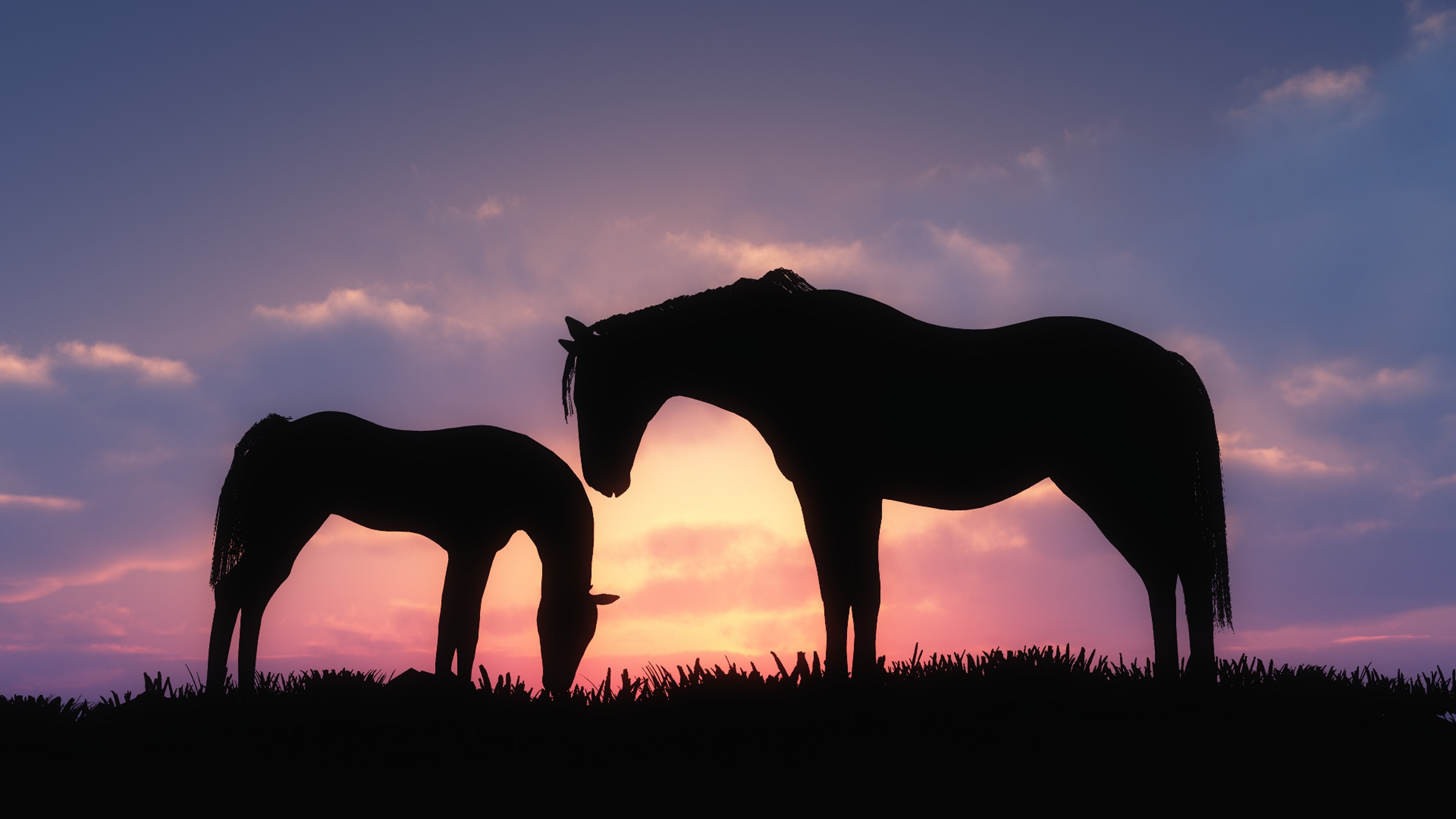 General 4262x2398 horse animals baby animals sunset silhouette mammals low light