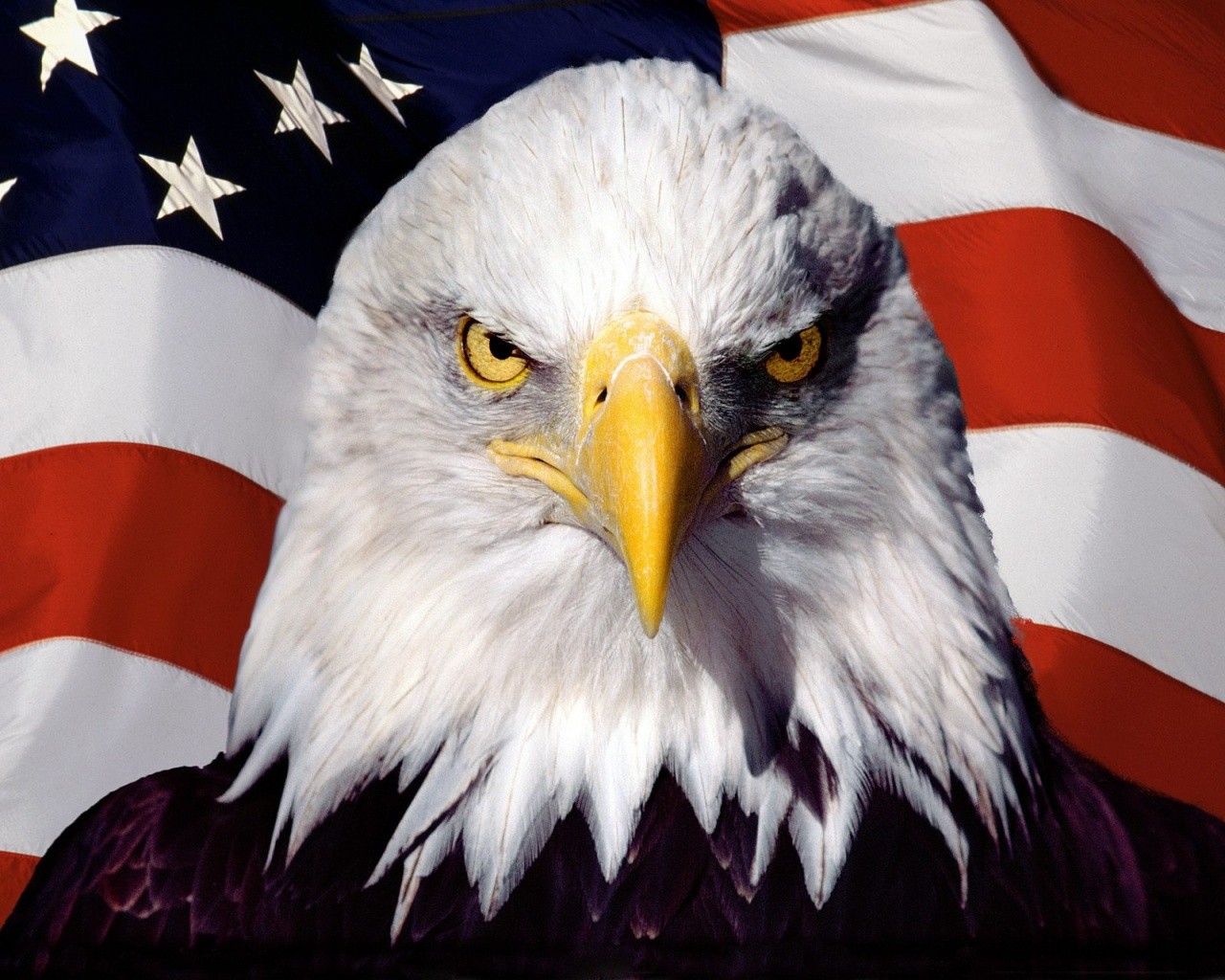 General 1280x1024 eagle American flag animals birds digital art