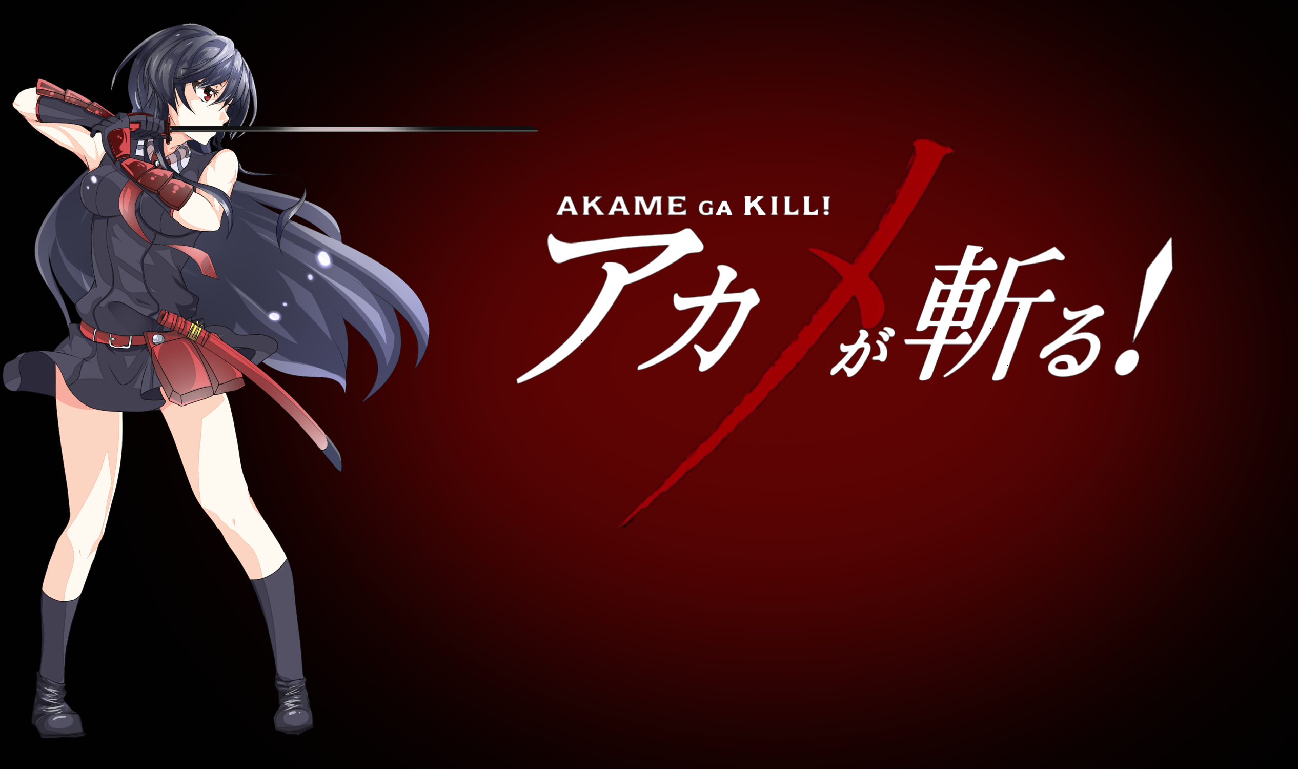 Anime 2532x1500 anime Akame ga Kill! Akame boobs legs women with swords sword weapon red background