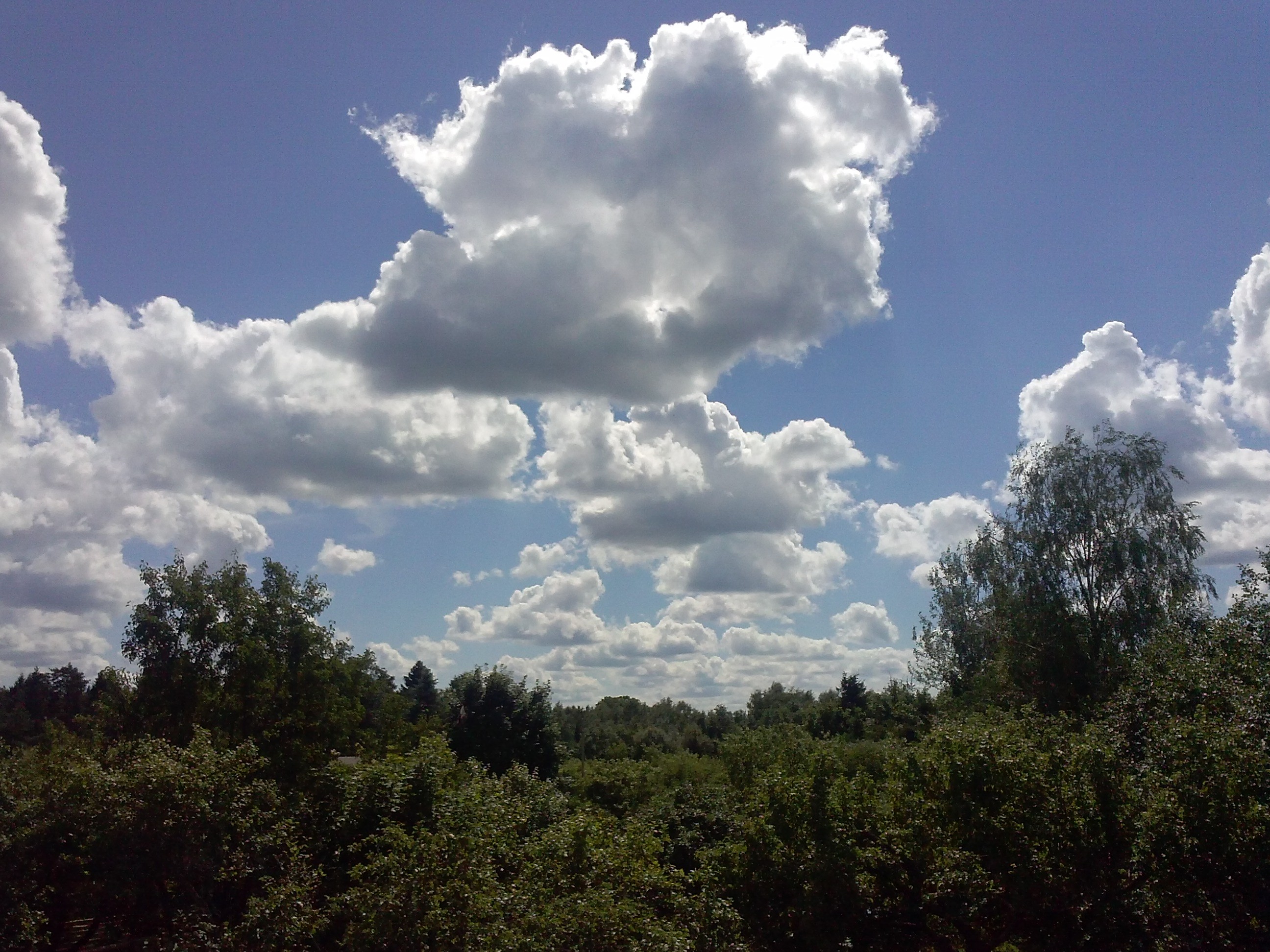 General 2592x1944 nature landscape trees summer sky clouds