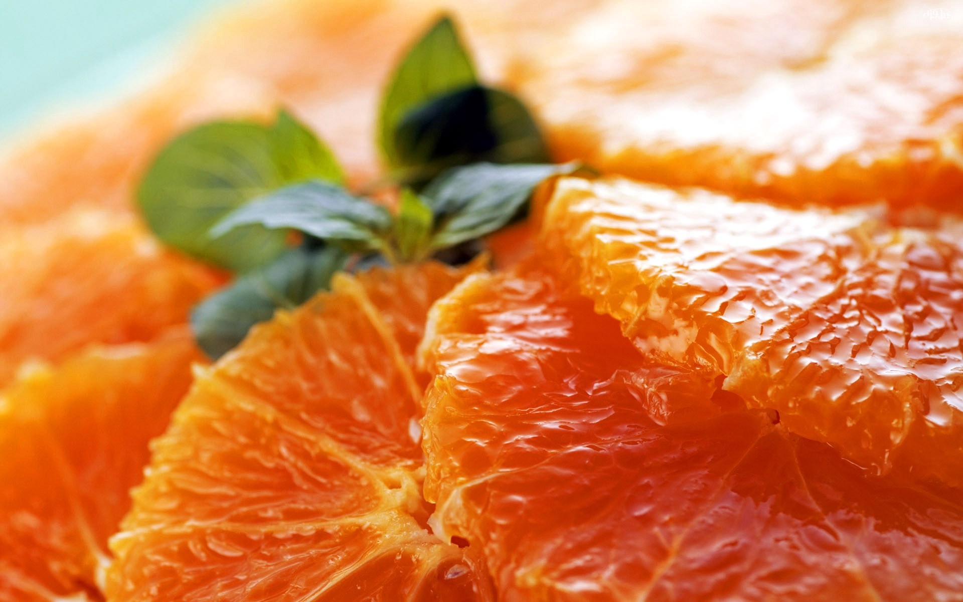 General 1920x1200 food fruit orange (fruit) macro