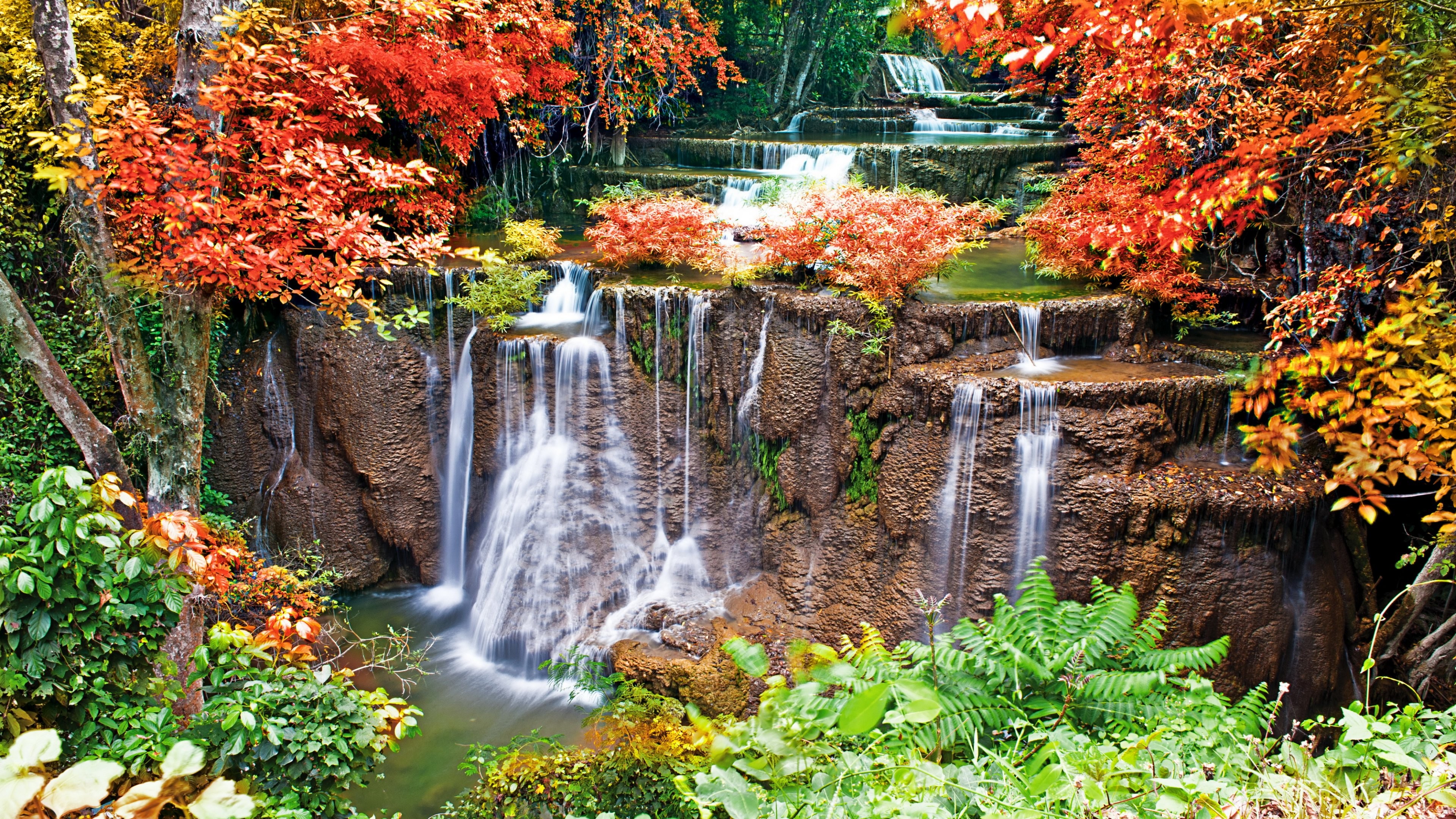 General 3840x2160 landscape China waterfall plants leaves
