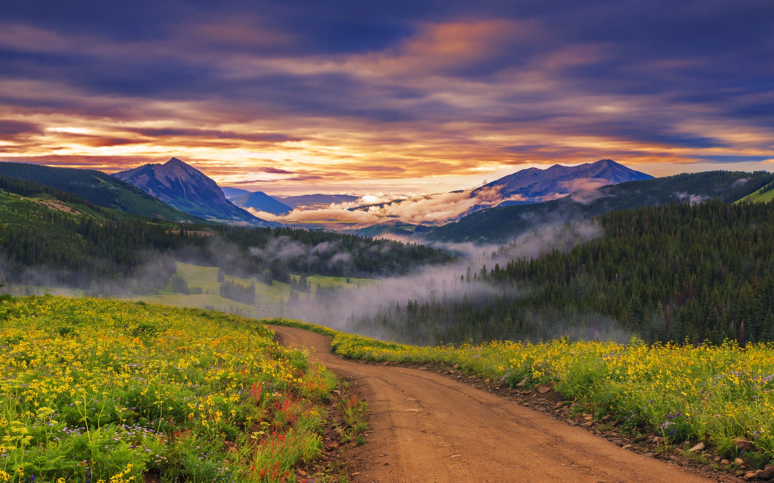 General 2500x1563 nature landscape sunset wildflowers valley forest mountains clouds mist dirt road path sky flowers