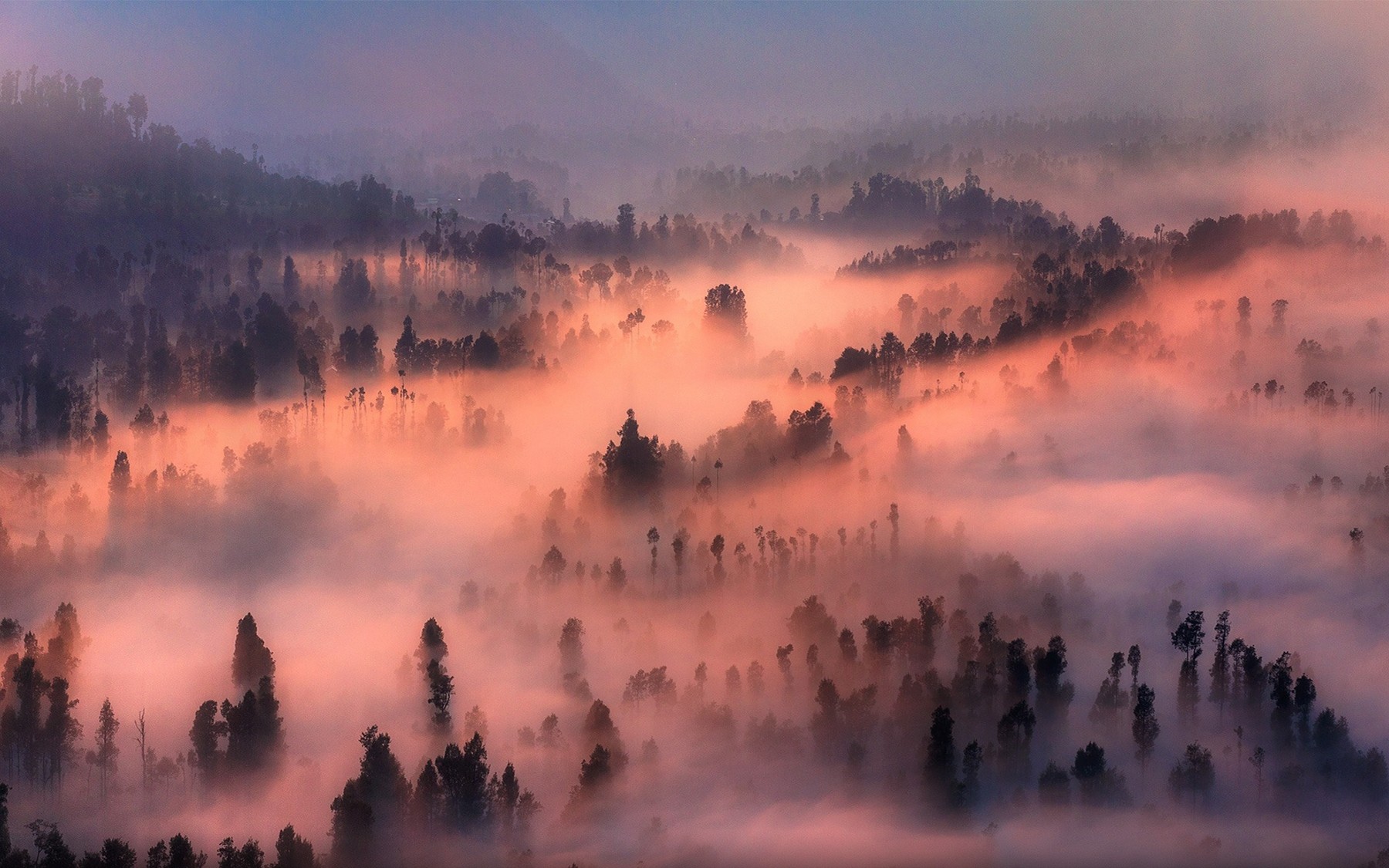 General 1800x1125 nature landscape valley mist forest morning trees mountains