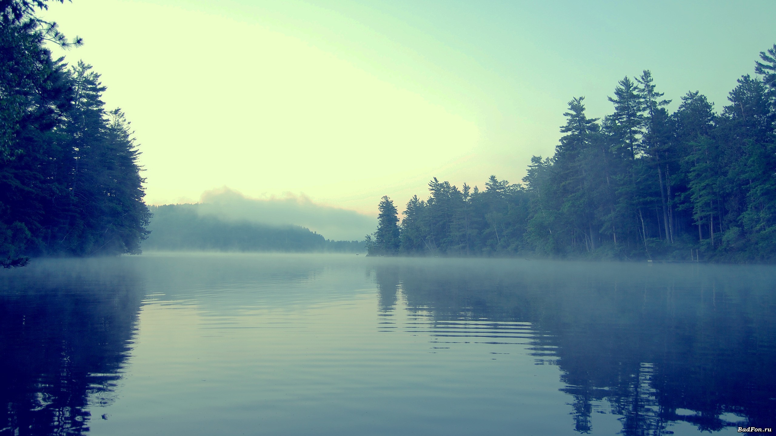 General 2560x1440 lake forest mist nature water