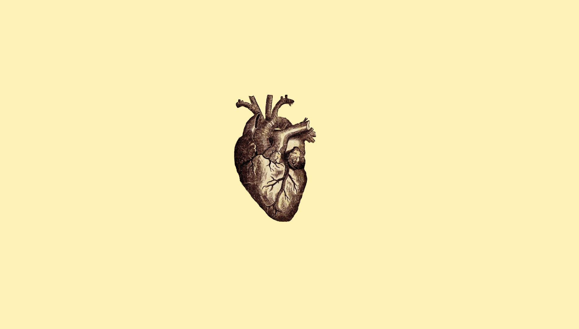 General 1900x1080 digital art minimalism simple background drawing anatomy veins medicine