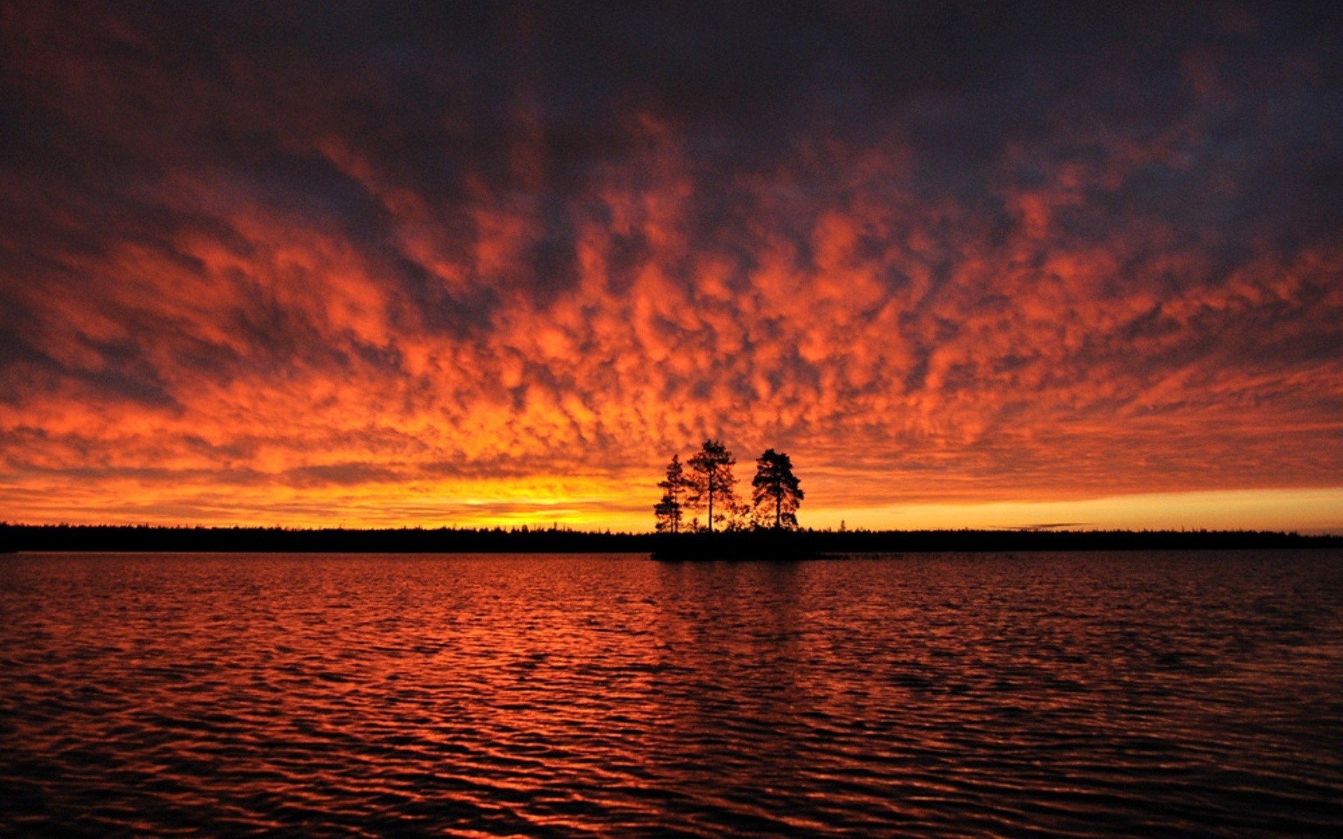 General 1920x1200 sunset lake trees silhouette orange sky skyscape dusk low light