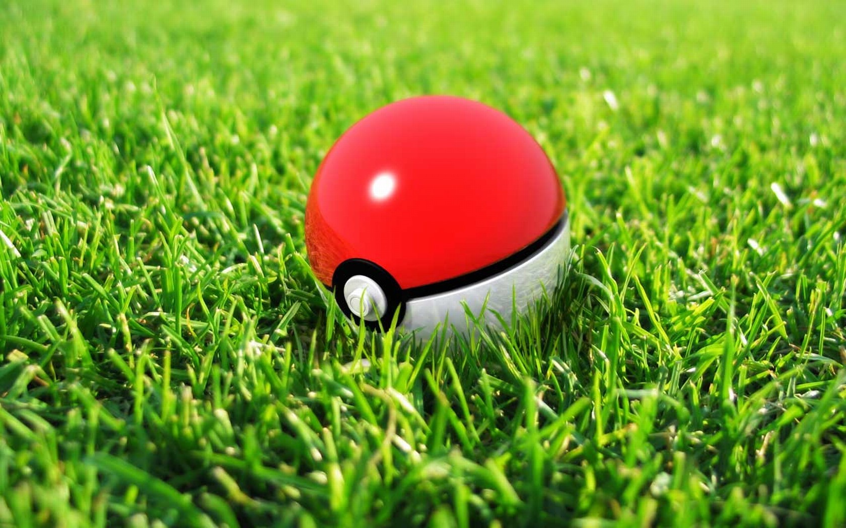 General 1680x1050 Pokémon Poke Ball grass anime
