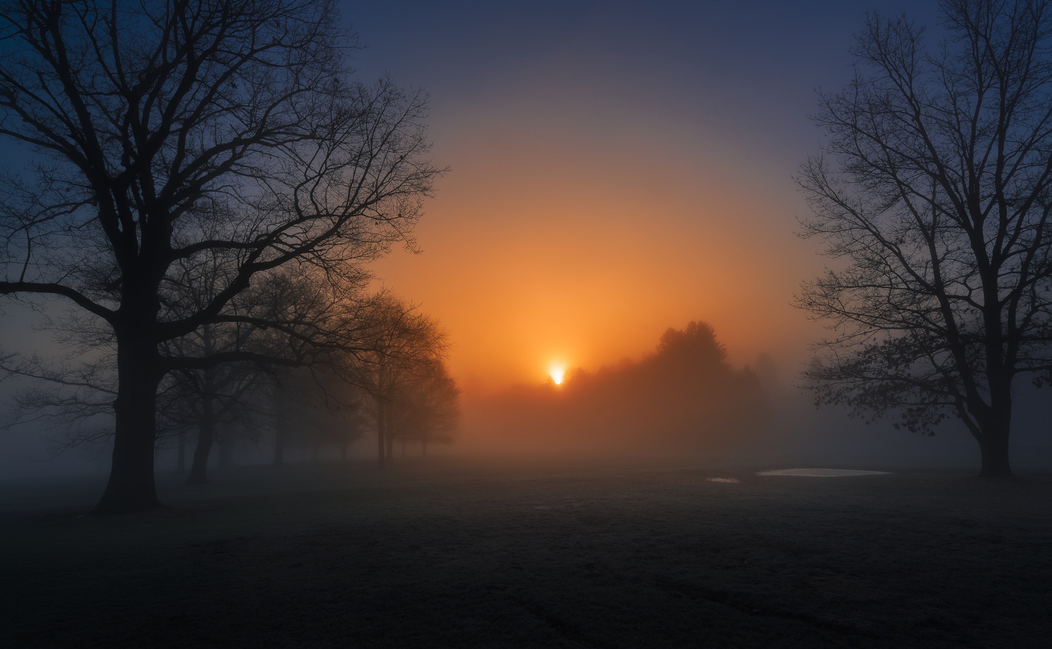 General 2048x1265 nature morning evening cold sunlight trees mist