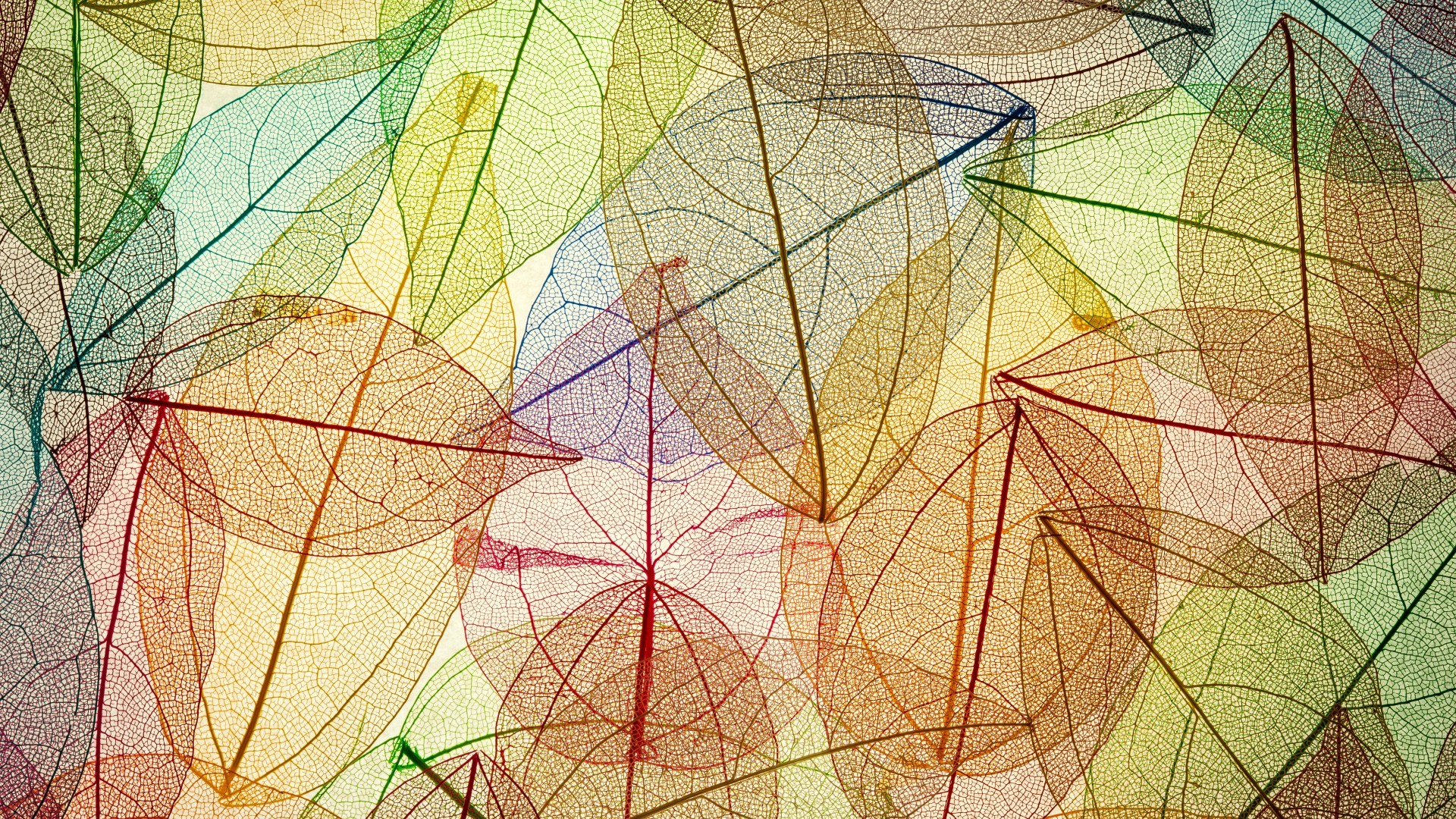 General 1920x1080 colorful leaves fall transparency simple background pattern