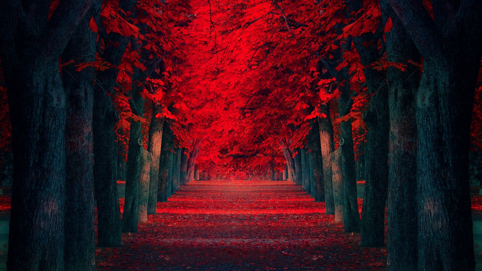 General 1920x1080 trees leaves red fall