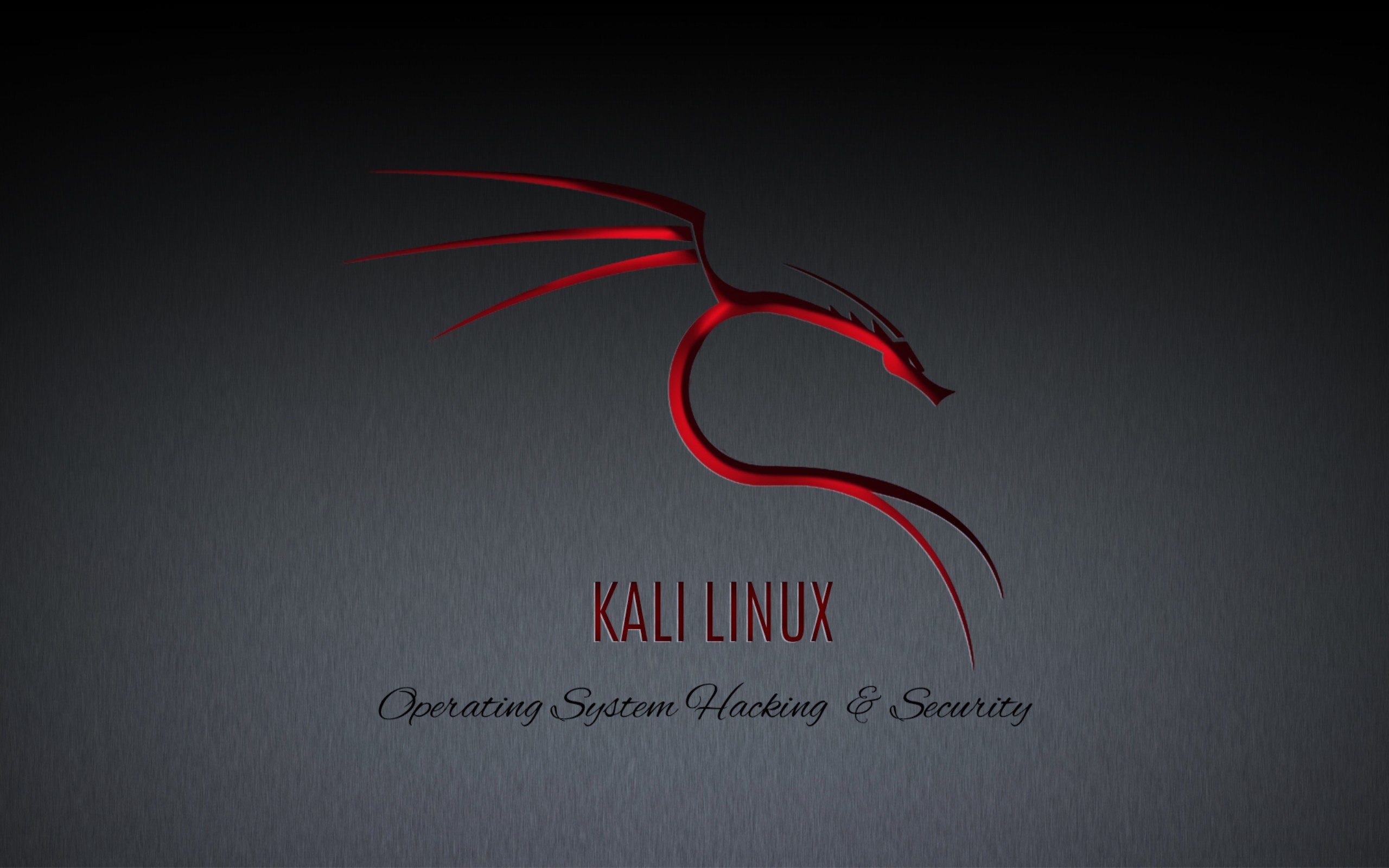 General 2560x1600 Linux simple background dragon operating system Kali Linux