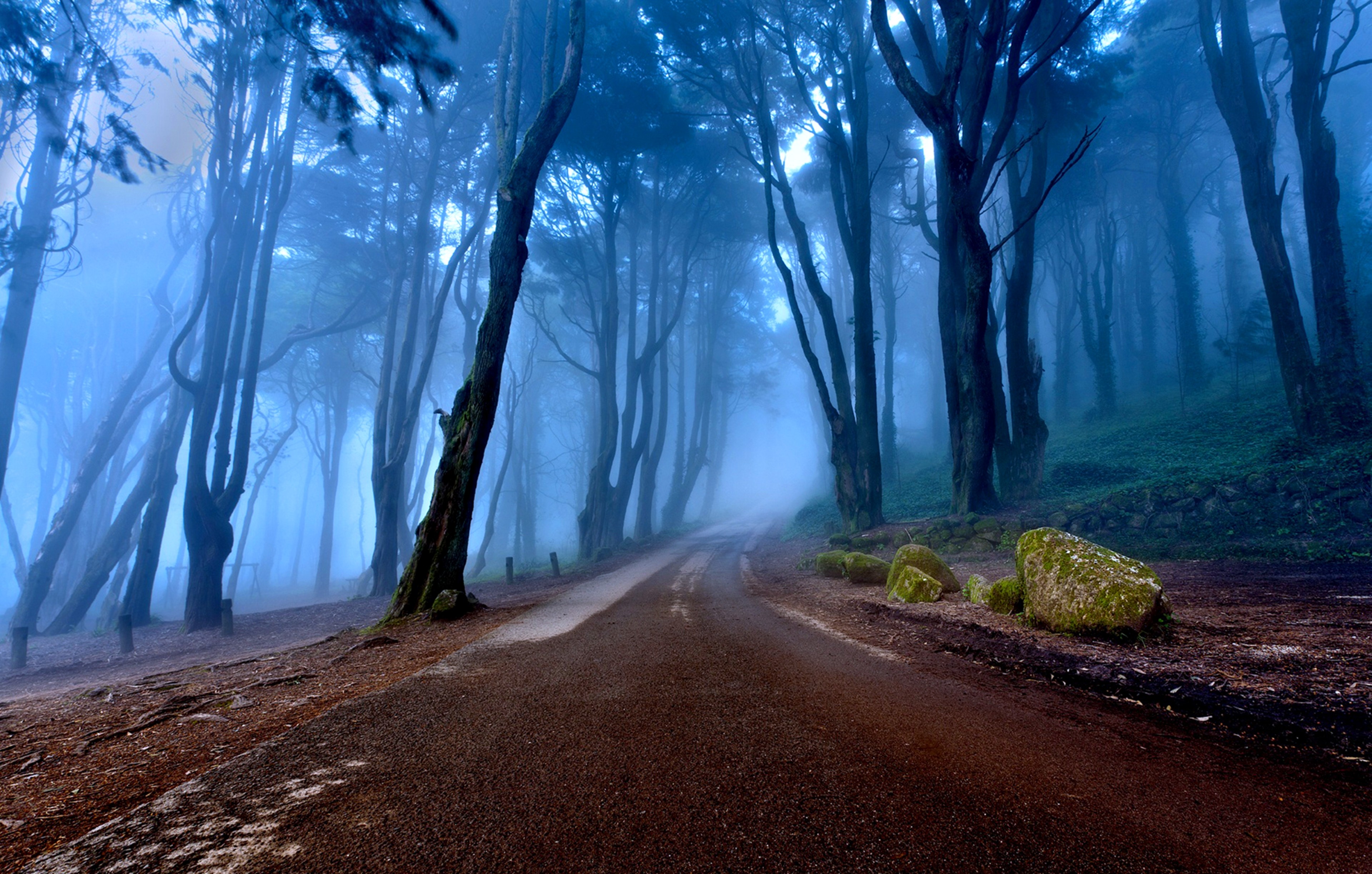 General 3840x2446 road forest trees nature cyan blue mist outdoors