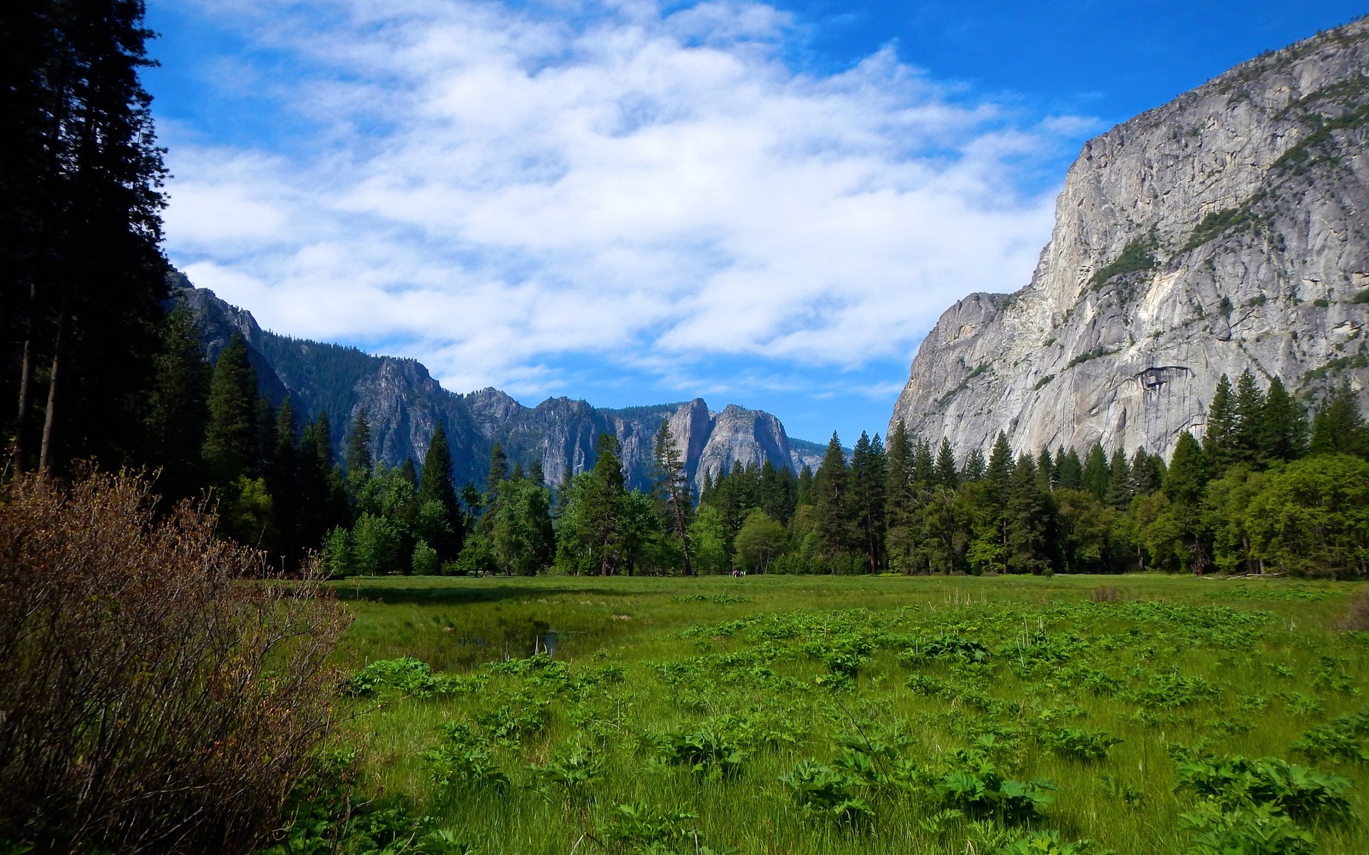 General 1920x1200 nature landscape Yosemite National Park Yosemite Valley cliff mountains USA Sierra Nevada California