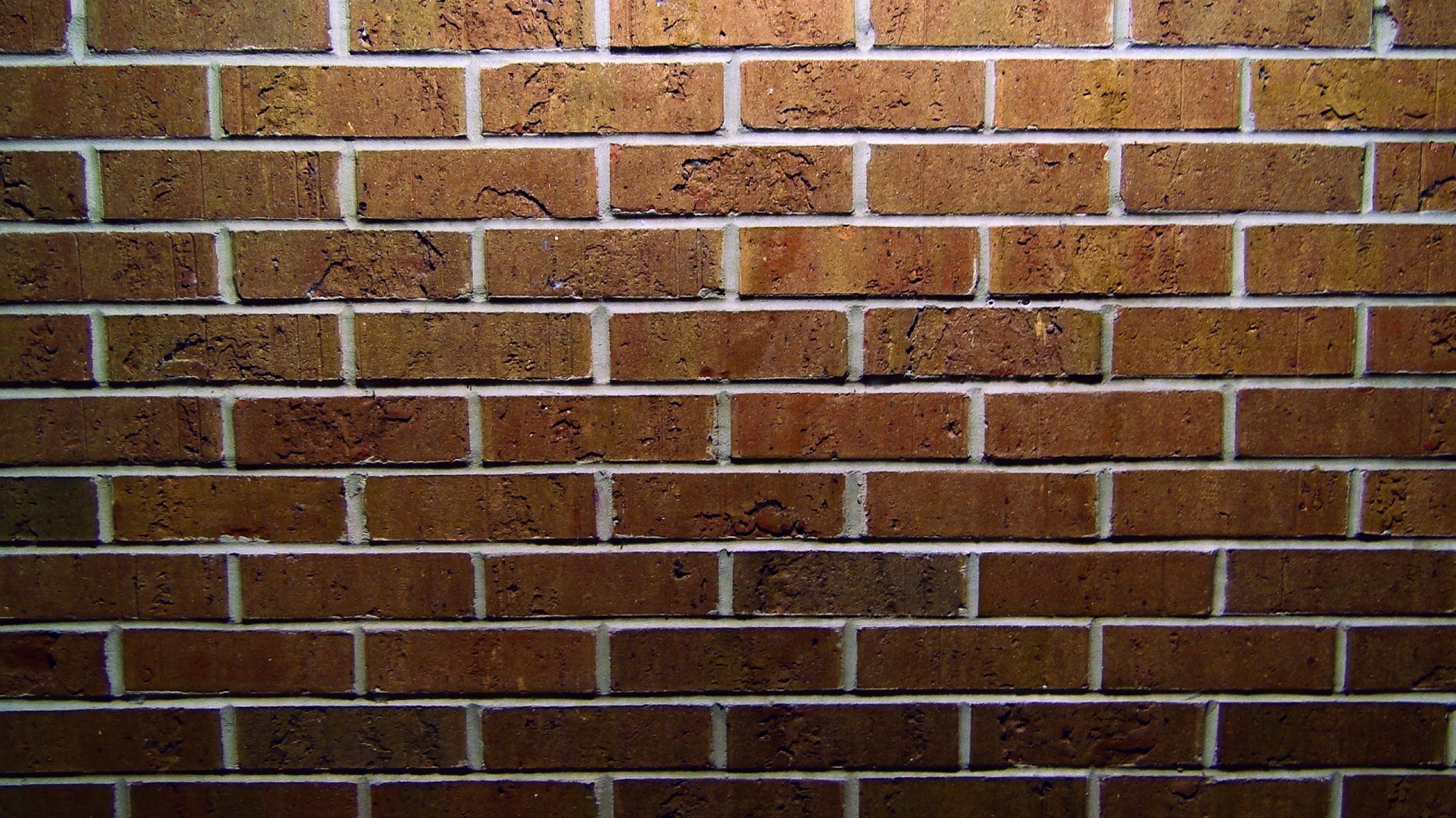 General 2560x1440 wall bricks texture