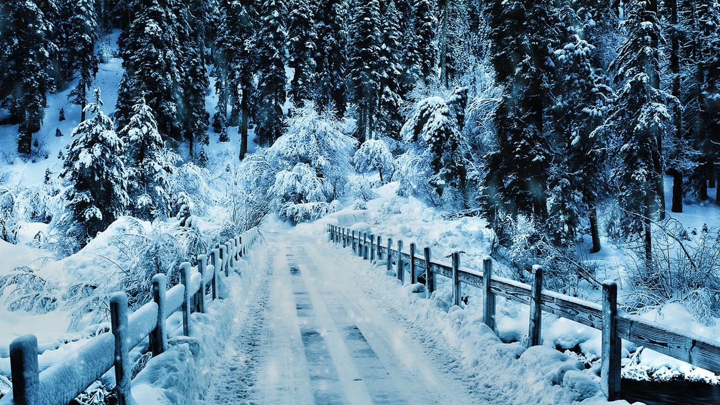 General 1422x800 bridge winter road snow pine trees nature cold