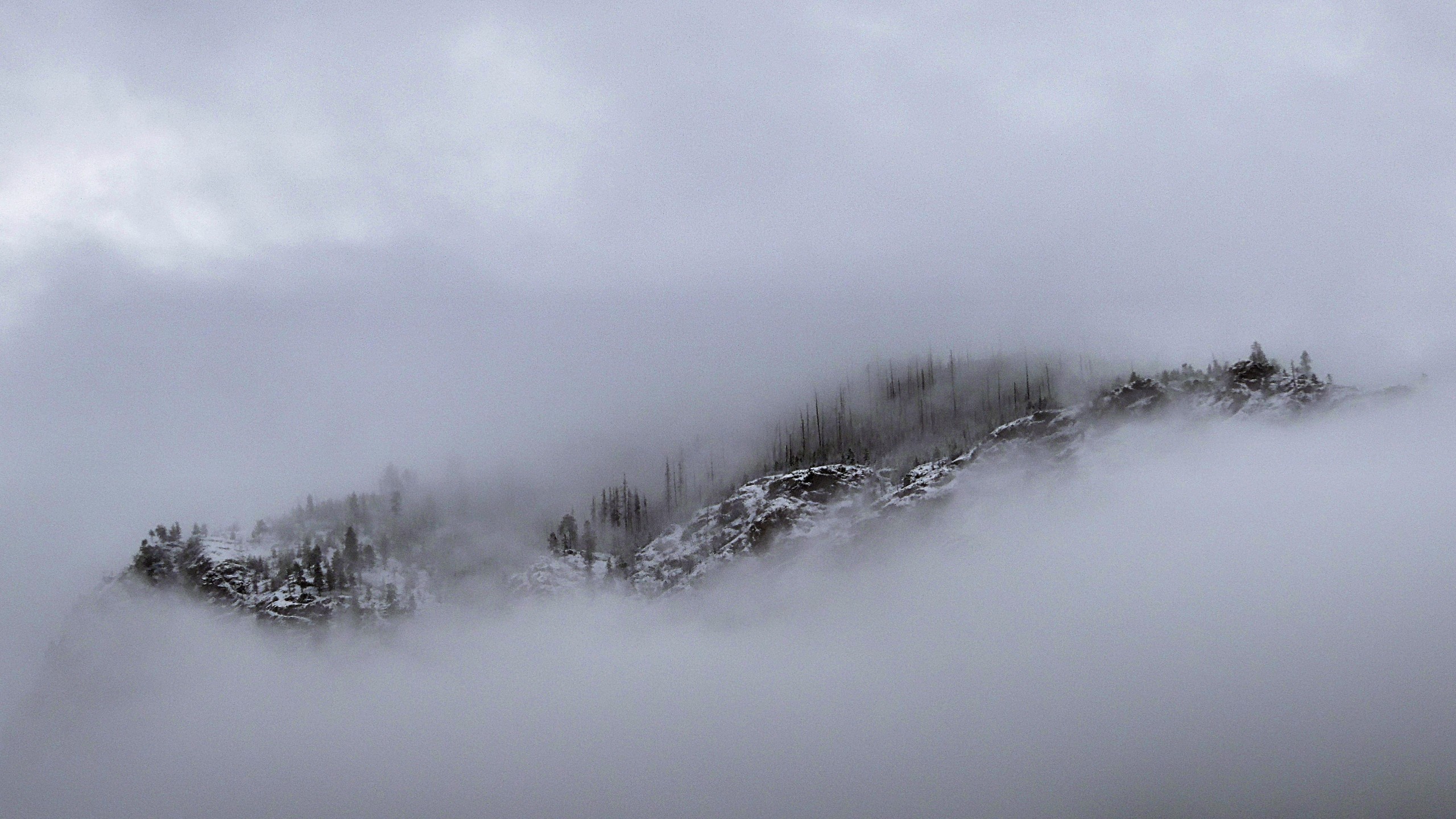 General 2560x1440 mountains snow Montana mist clouds USA nature cold ice