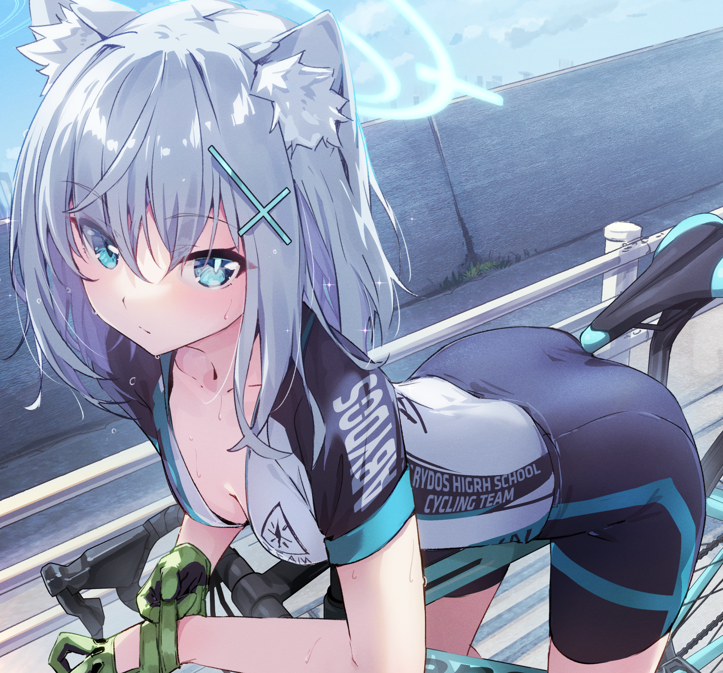 Anime 2500x2328 anime girls Blue Archive Shiroko (Blue Archive) bicycle blue hair blue eyes cat girl cat ears vehicle