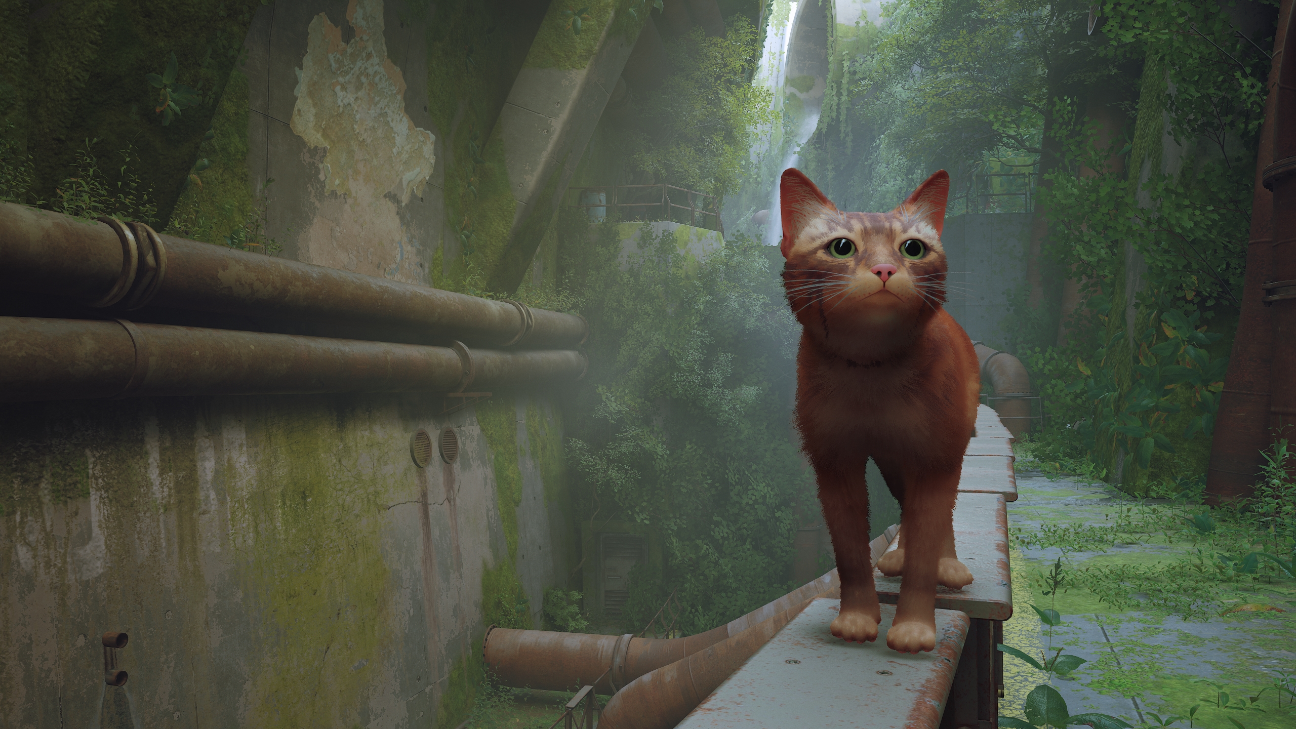 General 2560x1440 Stray video games Game CG screen shot cats