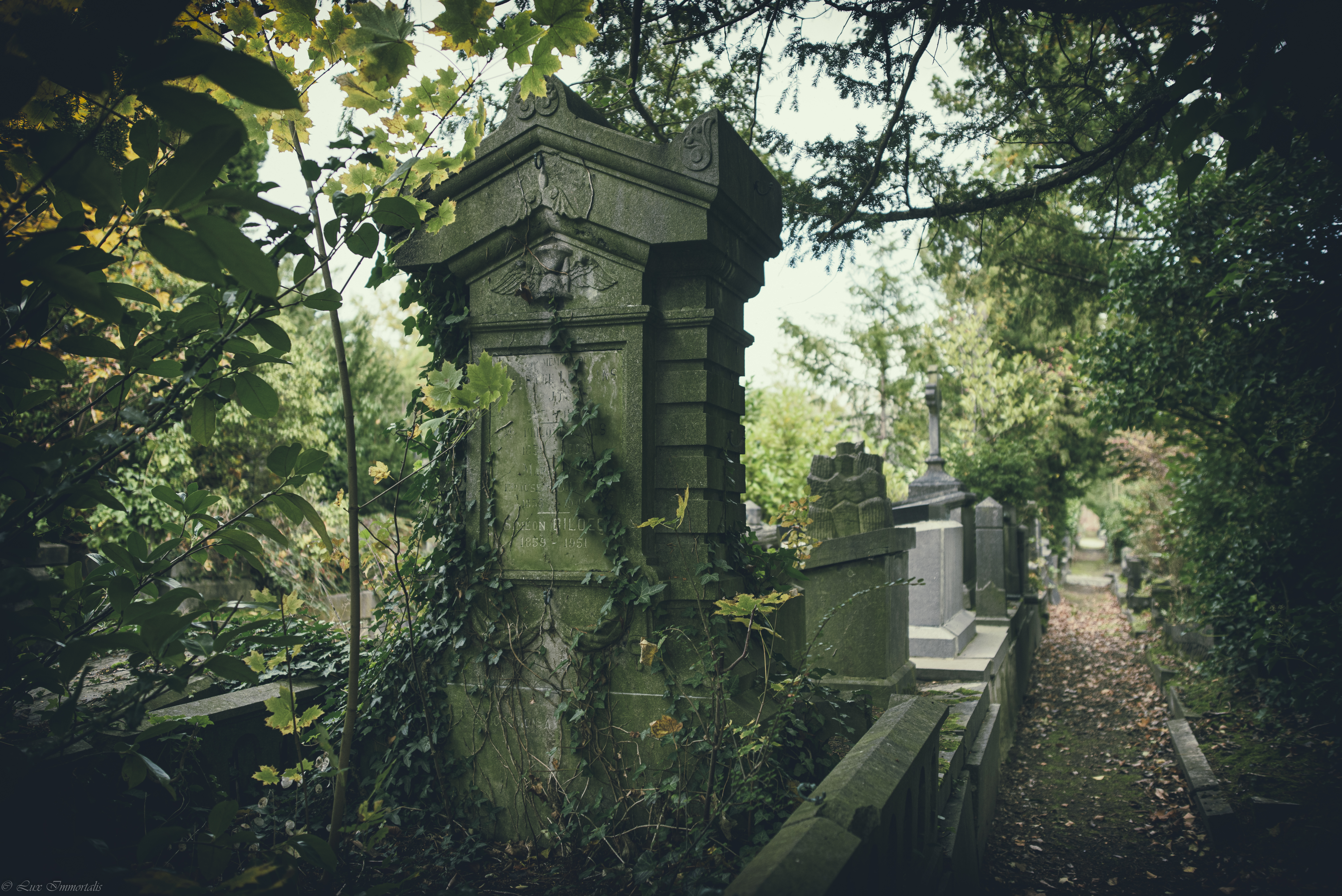 General 6016x4016 tempus fugit cemetery urban decay nature plants tombstones graveyards grave