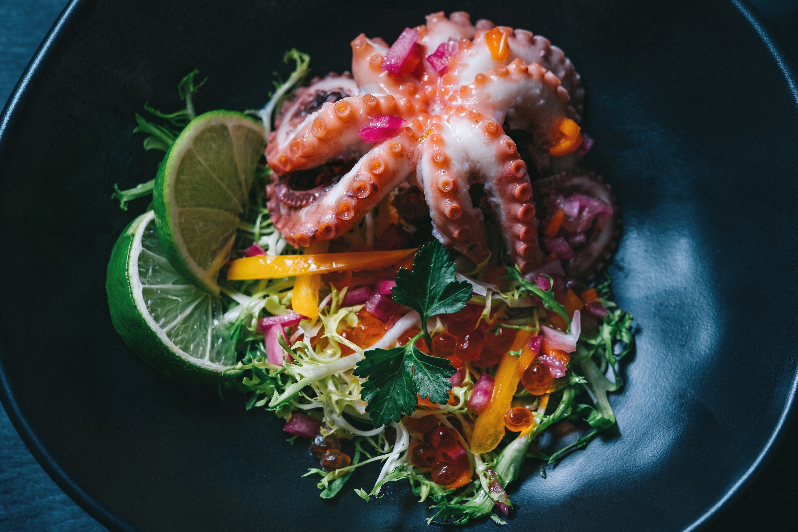 General 2560x1707 food salad seafood octopus lime closeup