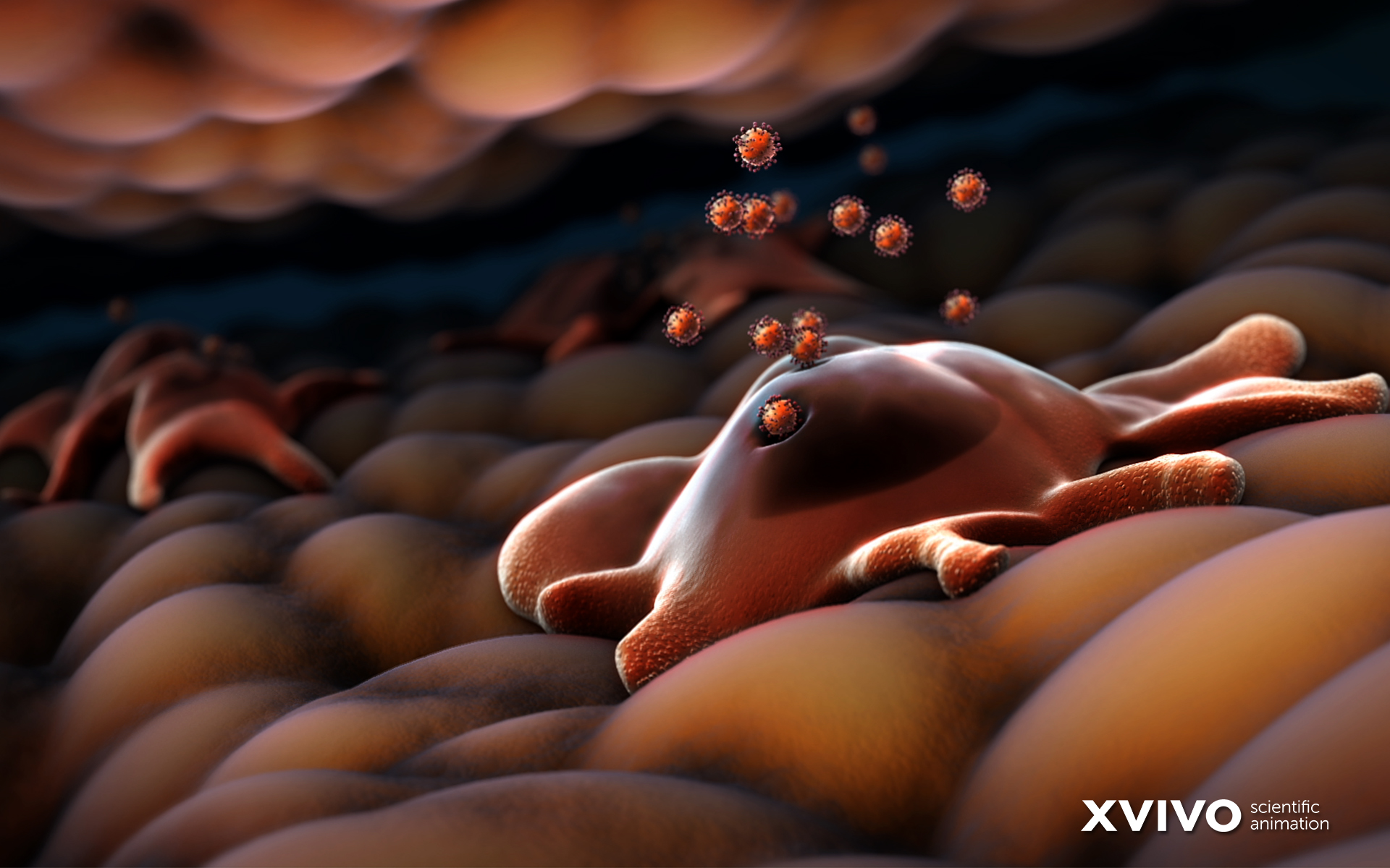 General 1920x1200 digital art macro closeup bacteria viruses biology  science XVIVO CGI animation depth of field HIV