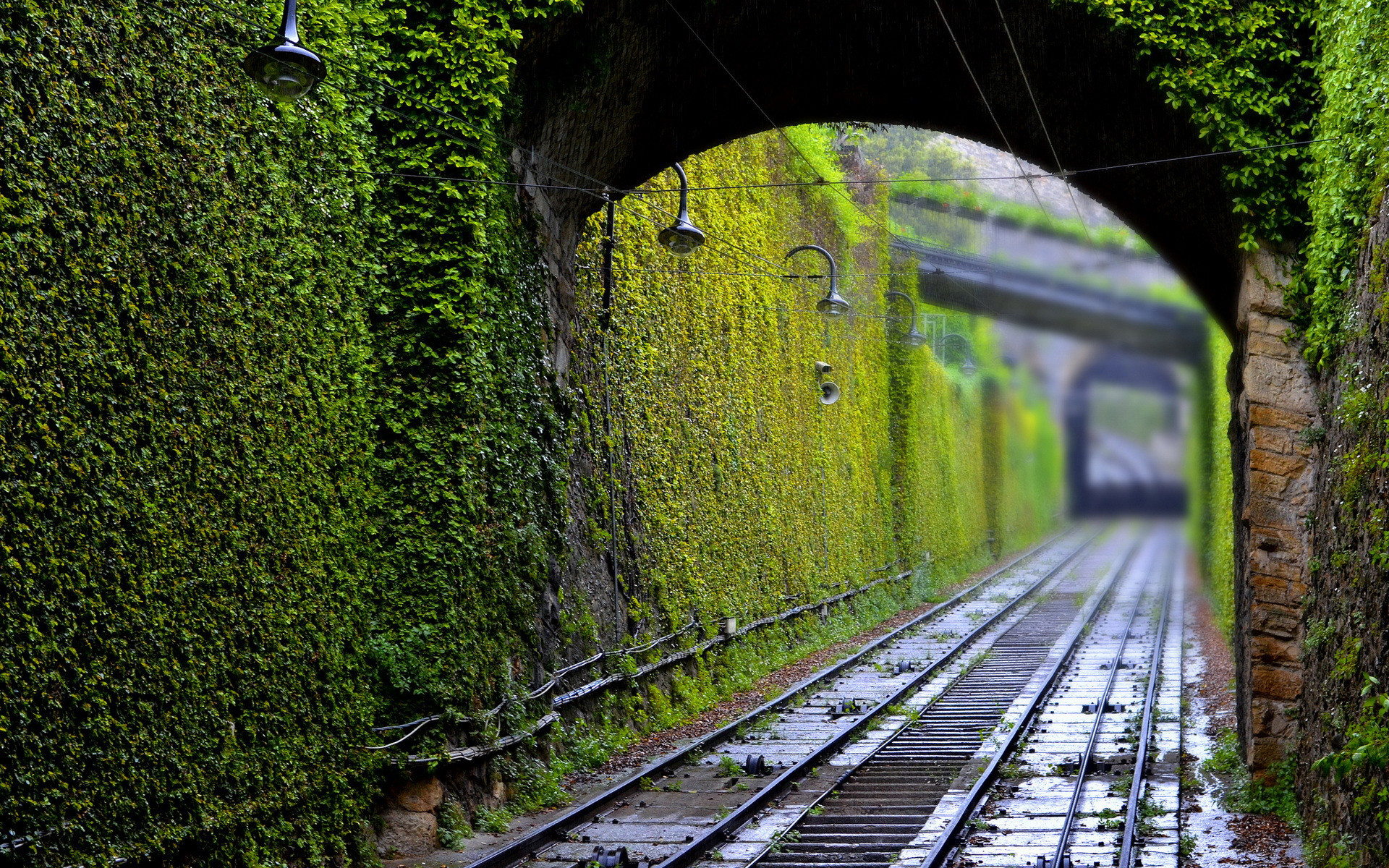 General 1920x1200 photography railway tunnel green plants lamp