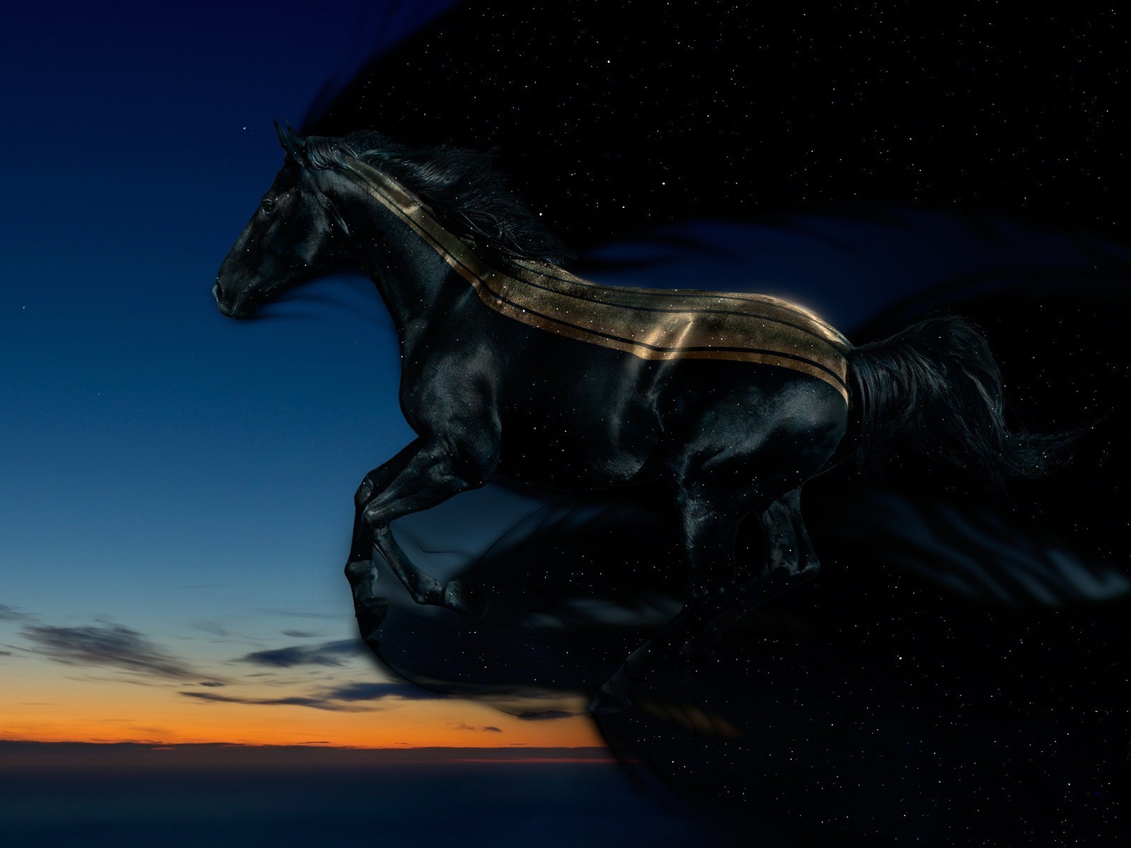 General 1600x1200 horse sky flying space stars