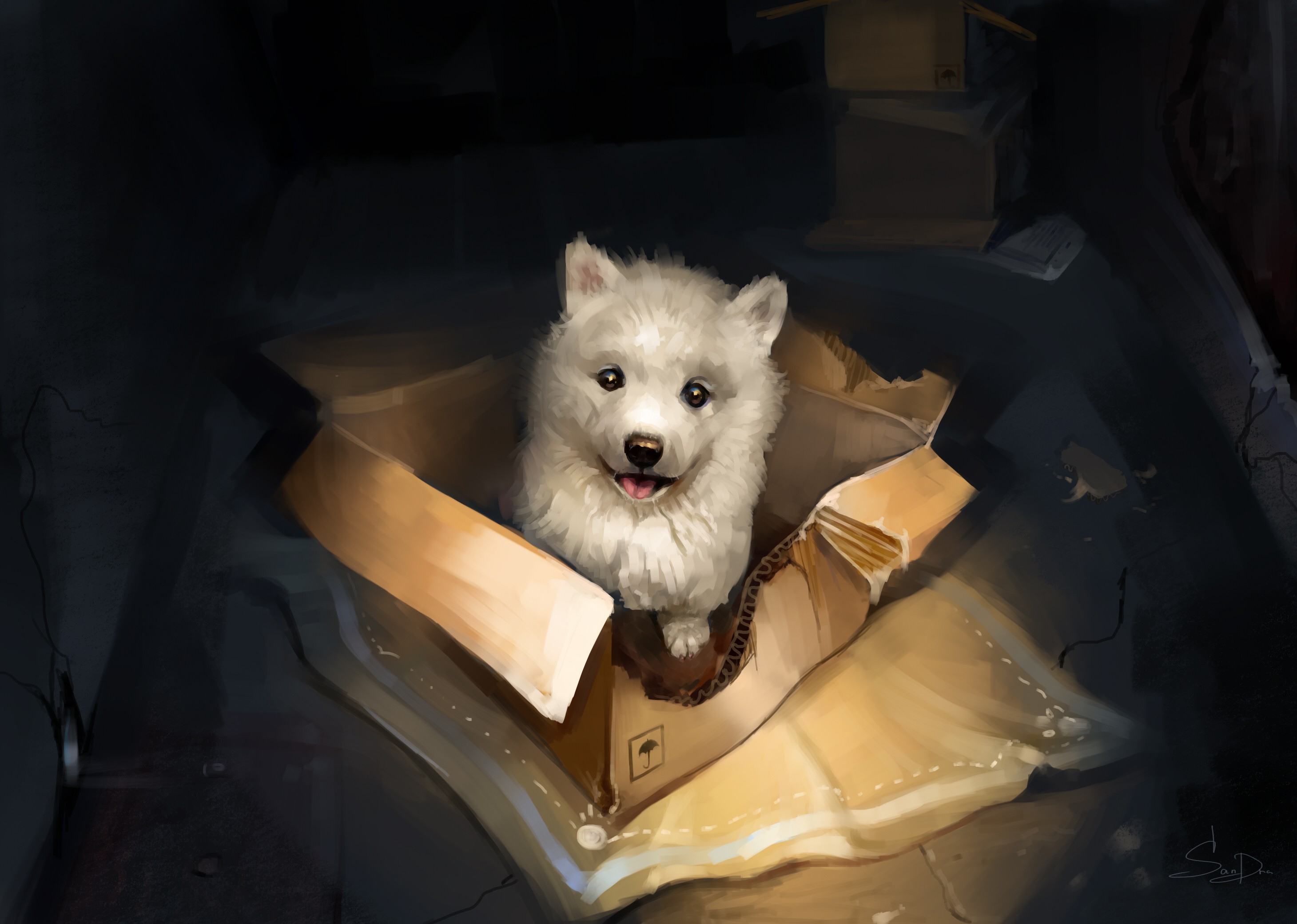 General 2920x2080 puppies boxes animals dog high angle frontal view digital art signature