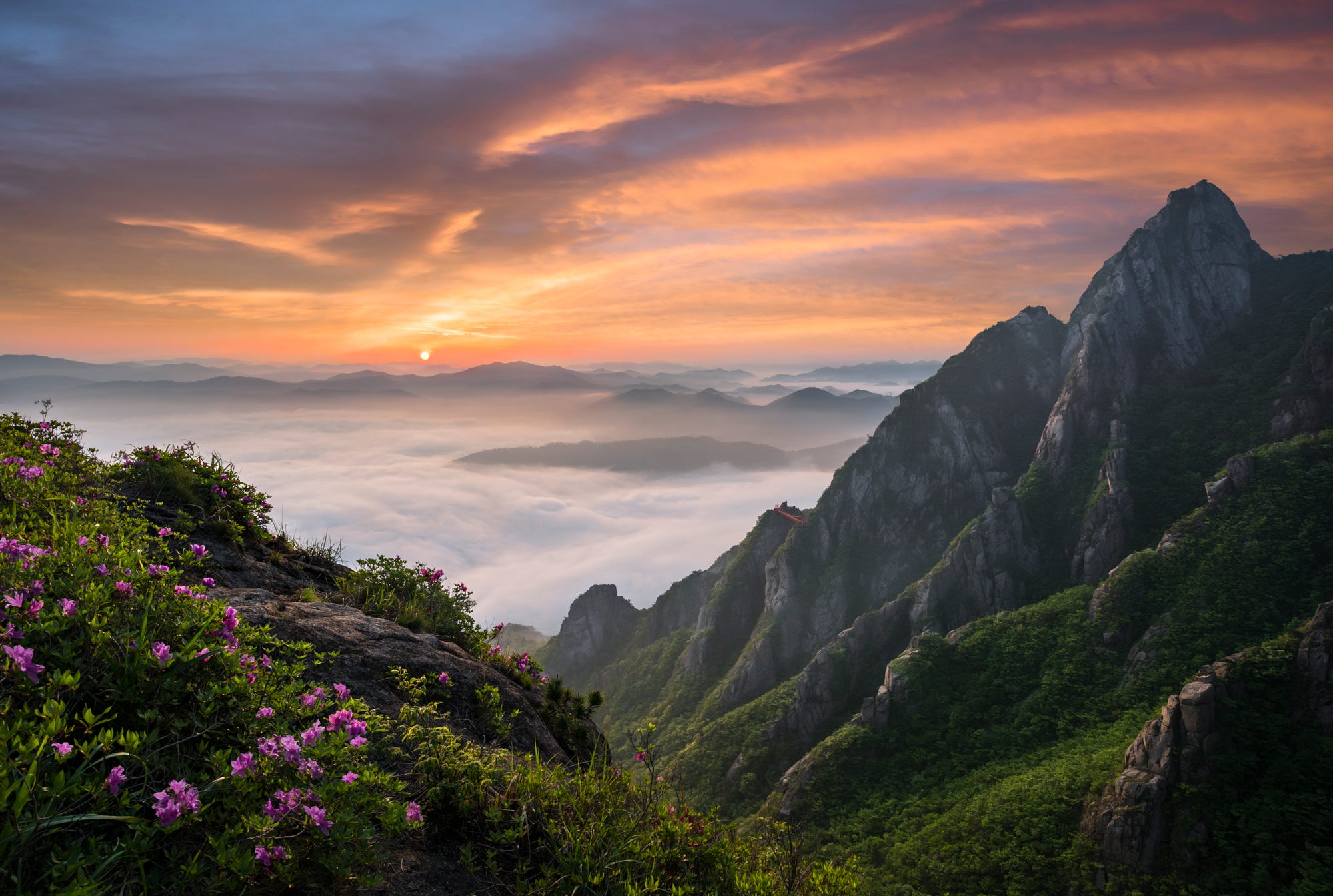 General 2000x1345 nature landscape South Korea mountains pink flowers clouds rocks