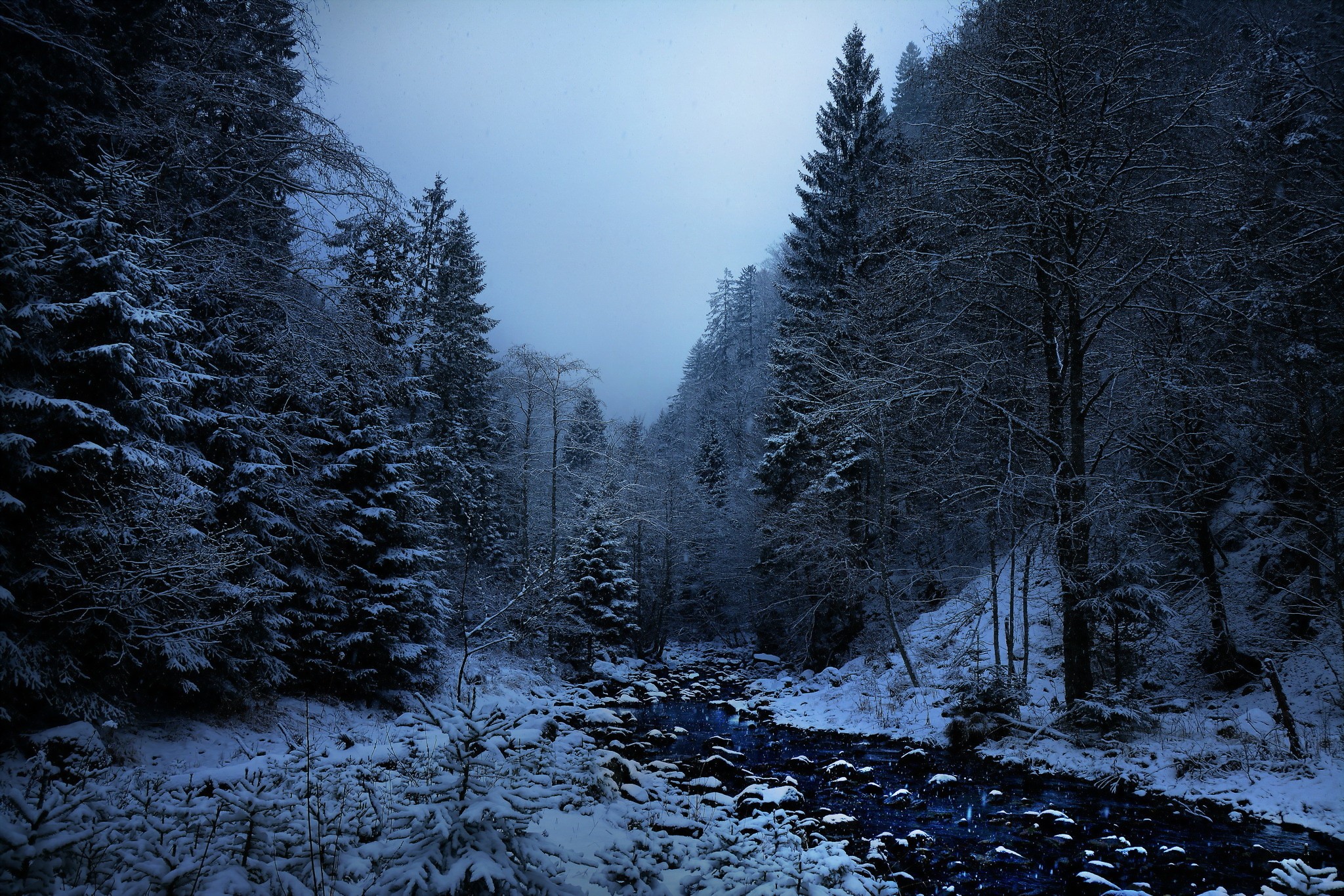 General 2048x1365 landscape forest winter creeks pine trees wilderness nature cold outdoors trees