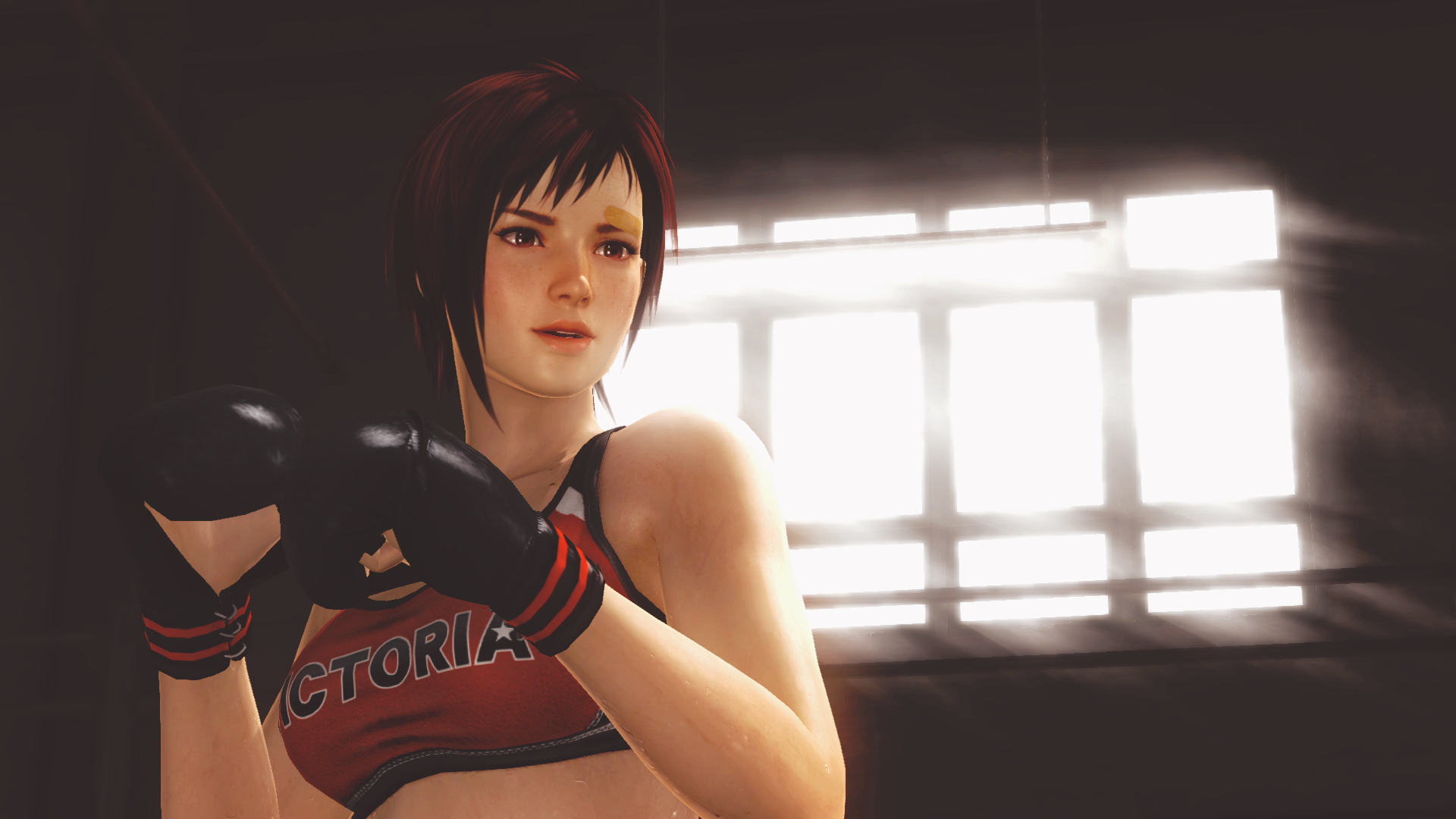 General 1920x1080 Dead or Alive 5 video games boxing gloves video game warriors video game girls video game characters Mila (Dead or Alive)